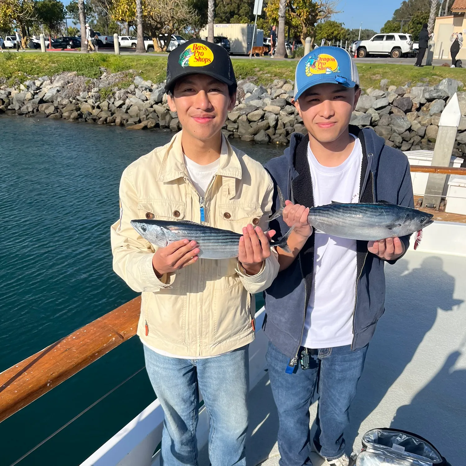 The most recent Eastern Pacific bonito catches on Fishbrain
