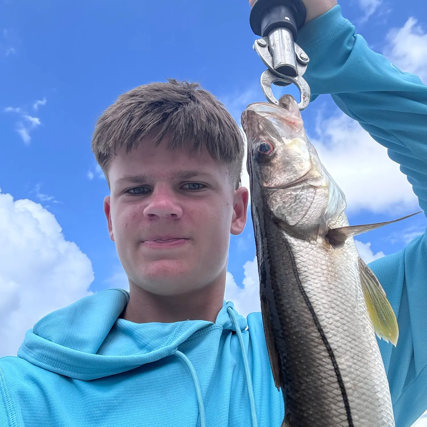 Common snook caught on Fishbrain
