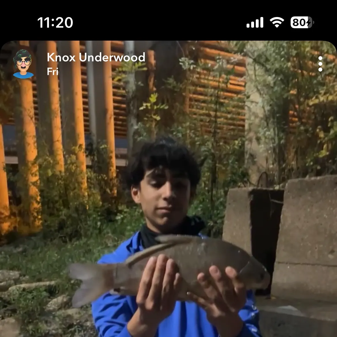 The most recent Bigmouth buffalo catches on Fishbrain