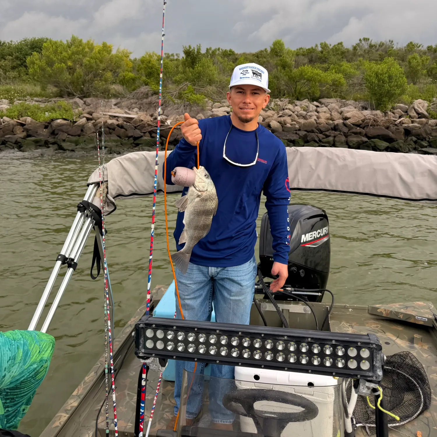 The most recent Black drum catches on Fishbrain