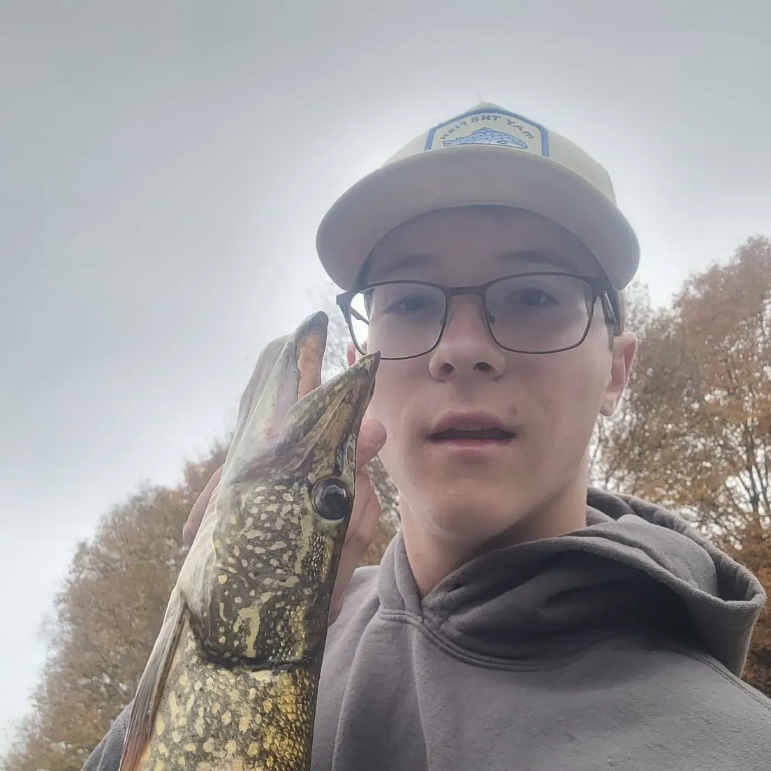 Northern pike caught on Fishbrain