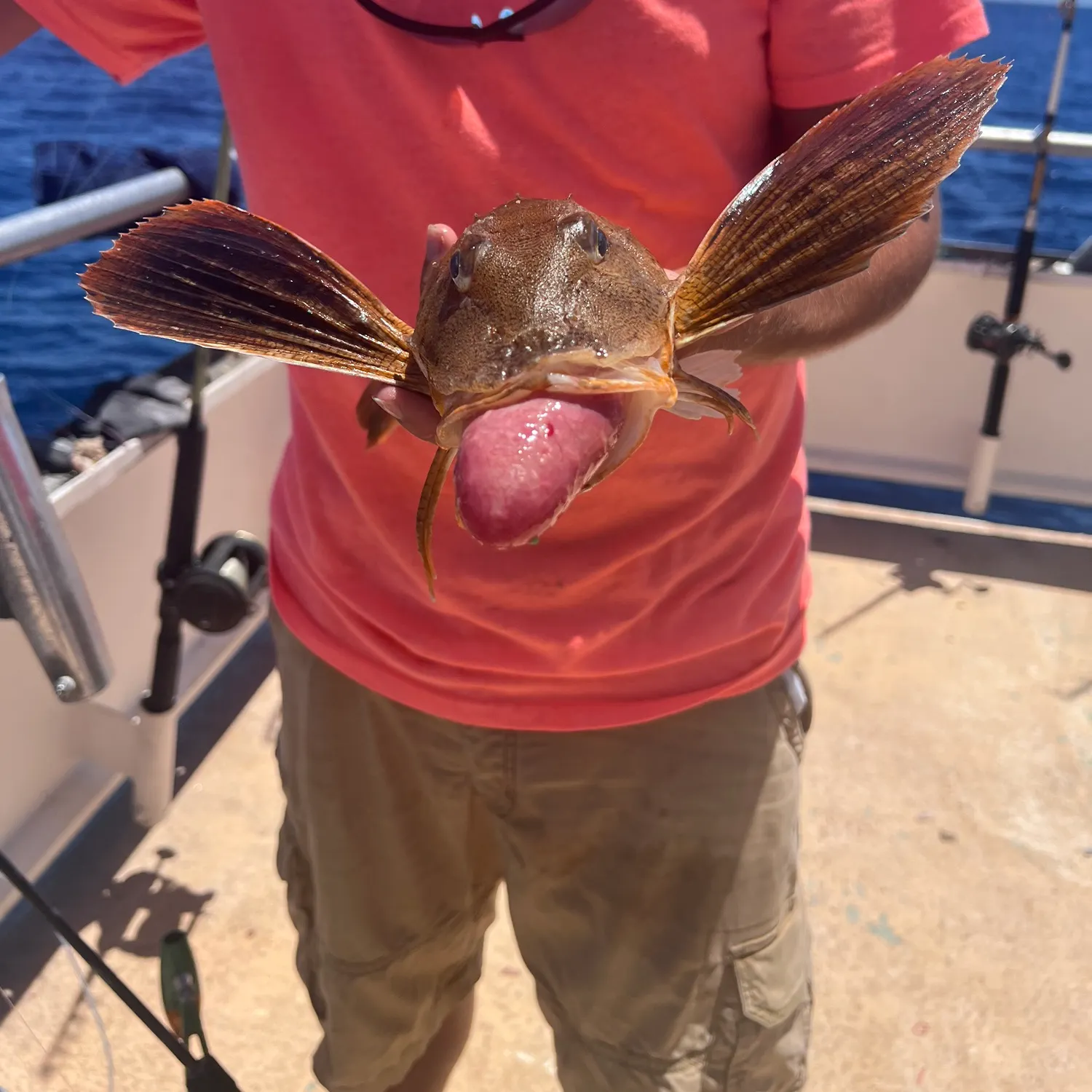 angler catch