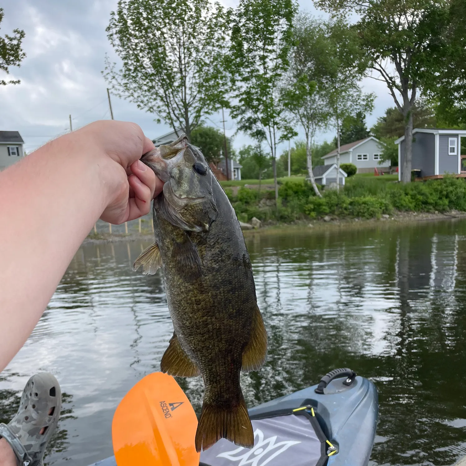 angler catch
