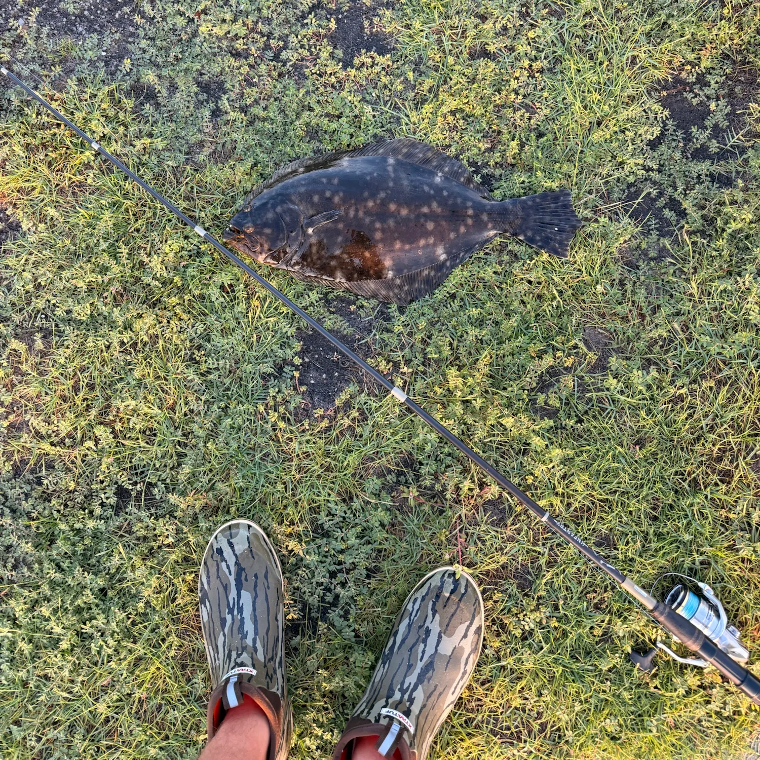 The most recent Southern flounder catches on Fishbrain