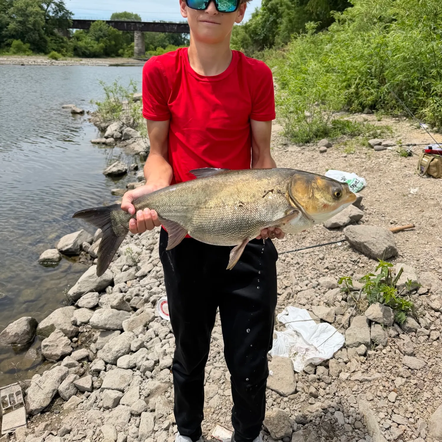 The most recent Silver carp catches on Fishbrain