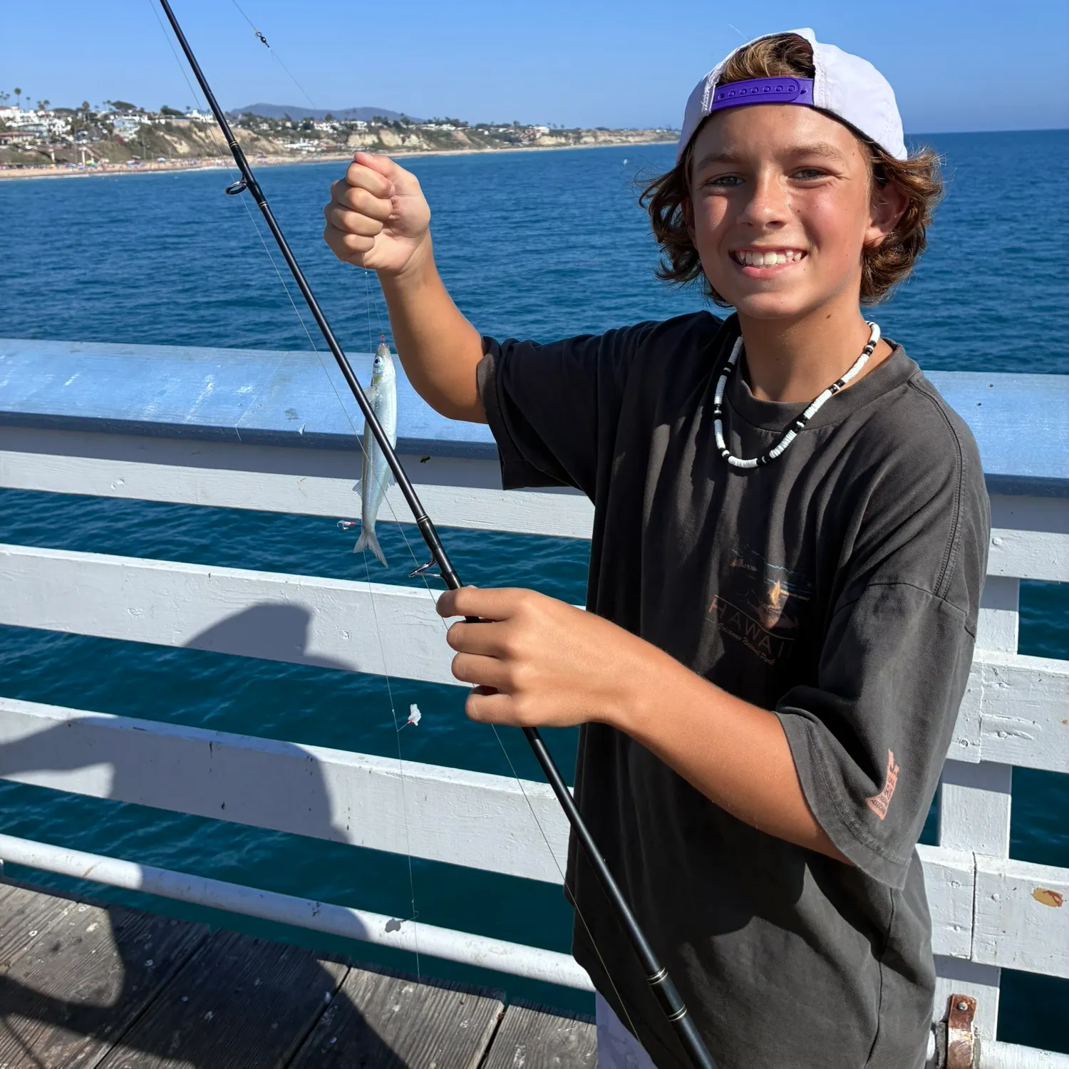 The most recent Surf smelt catches on Fishbrain