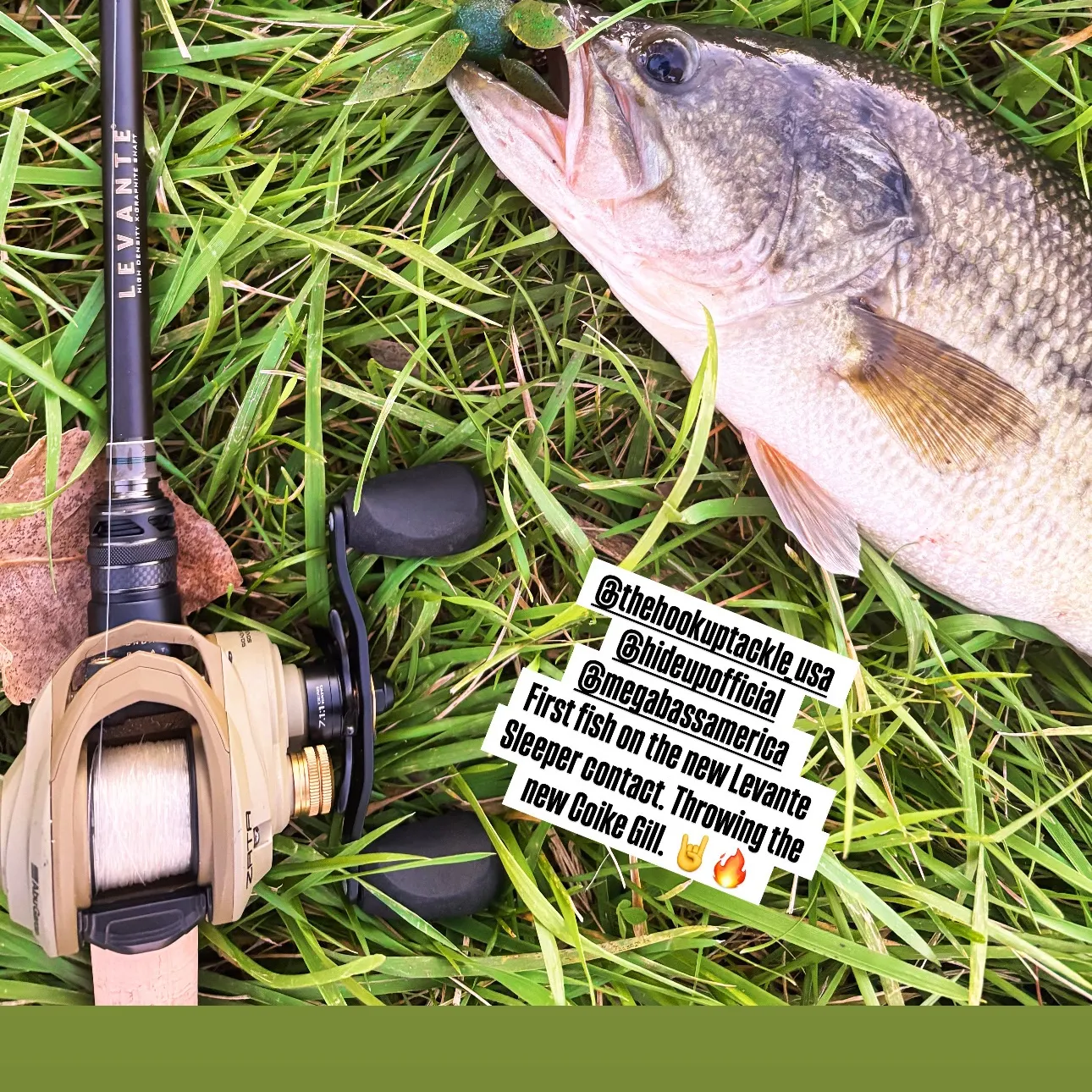Largemouth bass caught on Fishbrain