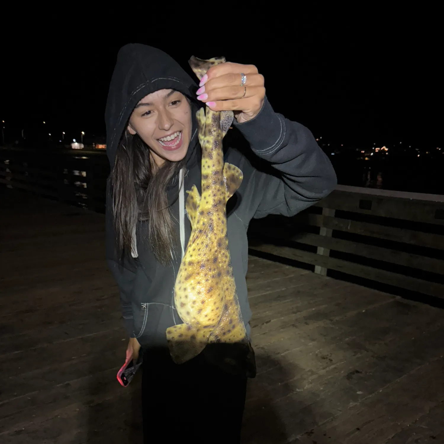 The most recent Swellshark catches on Fishbrain
