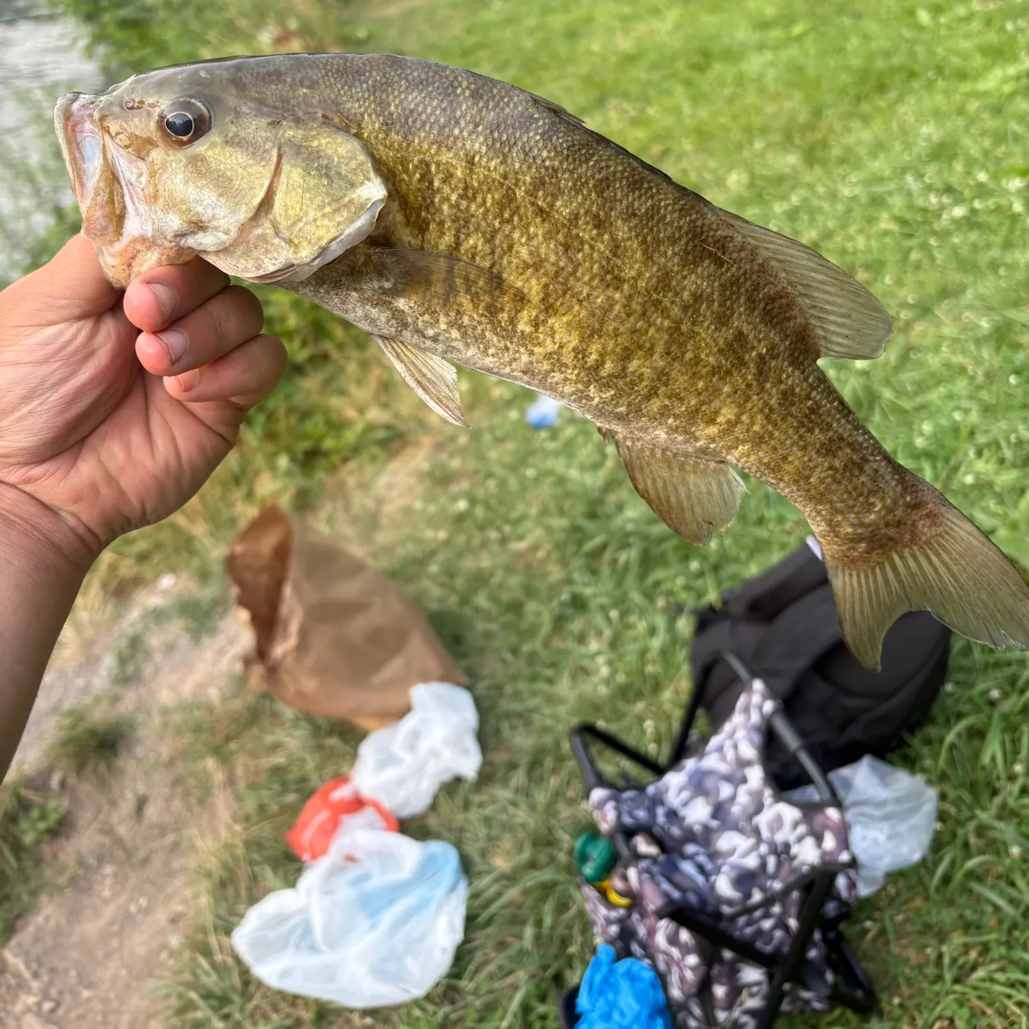 catch