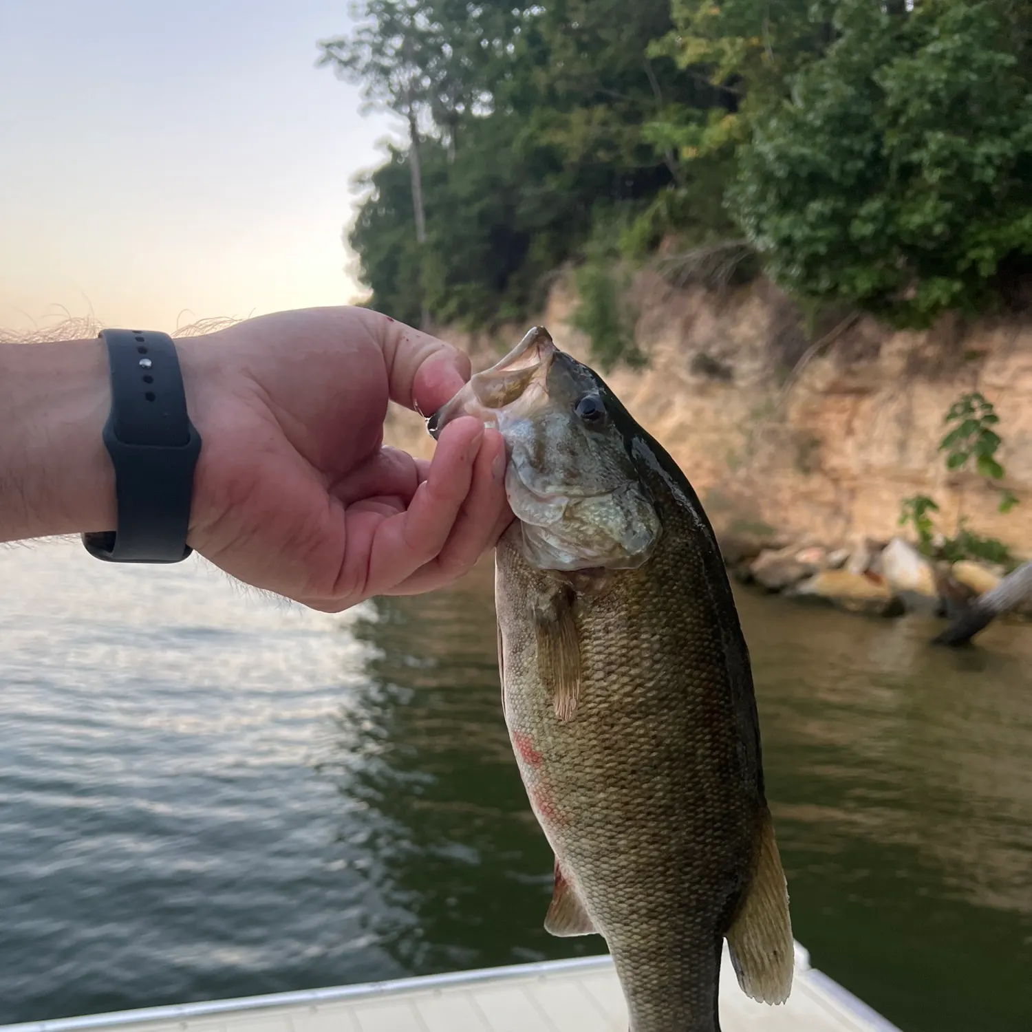 Fish caught on Fishbrain