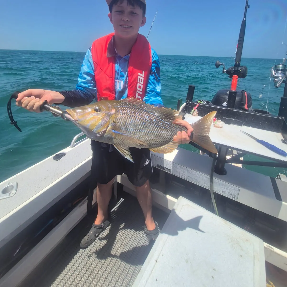 The most recent Spangled emperor catches on Fishbrain