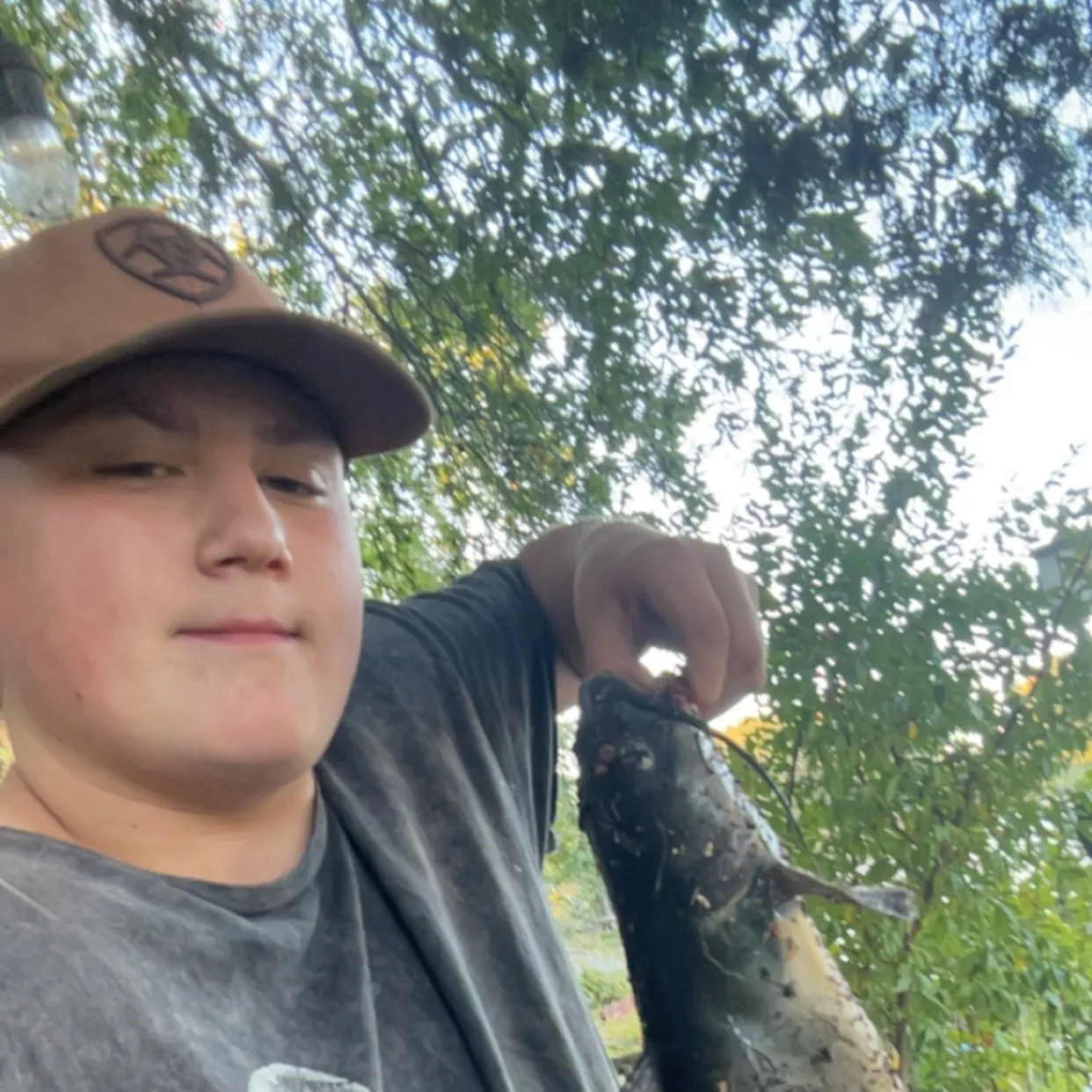 Channel catfish caught on Fishbrain