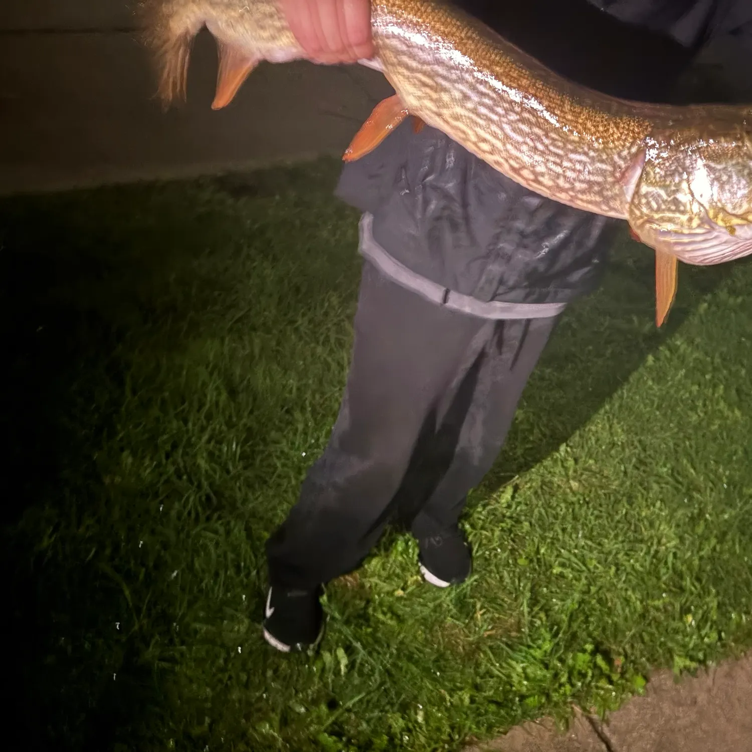 Northern pike caught on Fishbrain