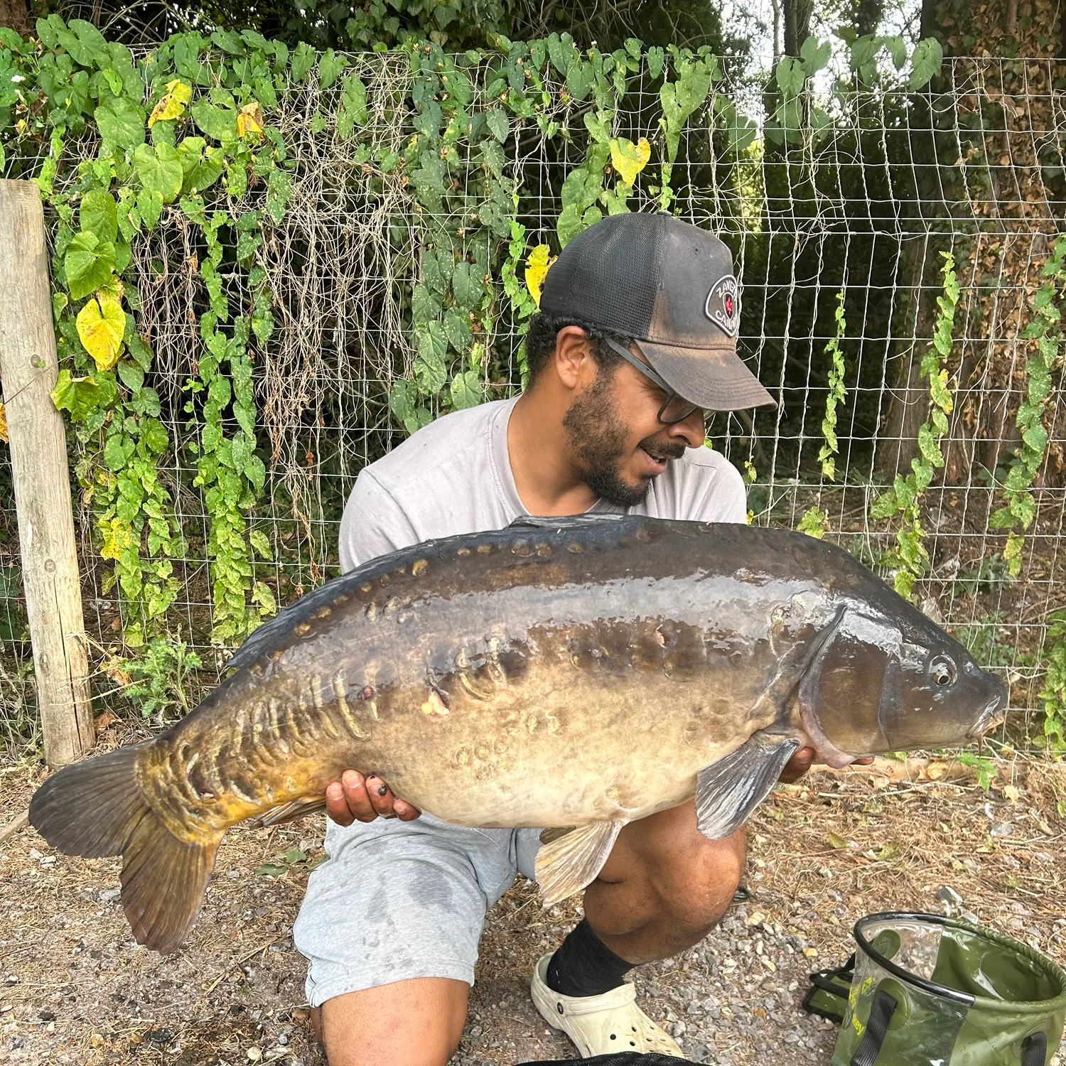 Mirror carp caught on Fishbrain