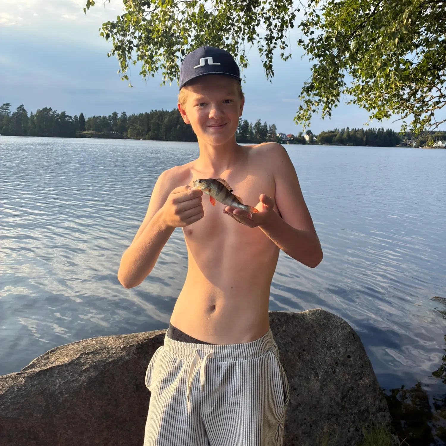European perch caught on Fishbrain