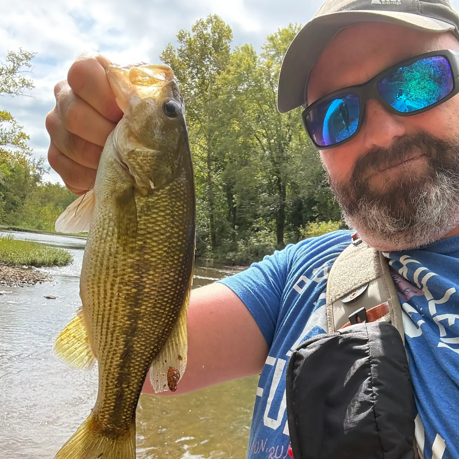 Spotted bass caught on Fishbrain