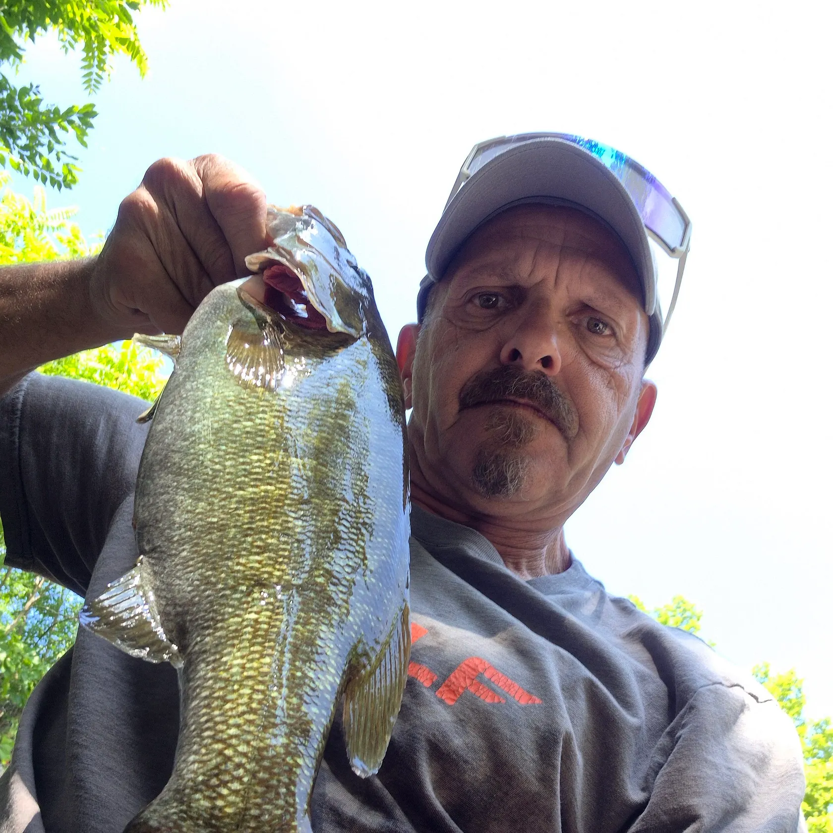 Smallmouth bass caught on Fishbrain