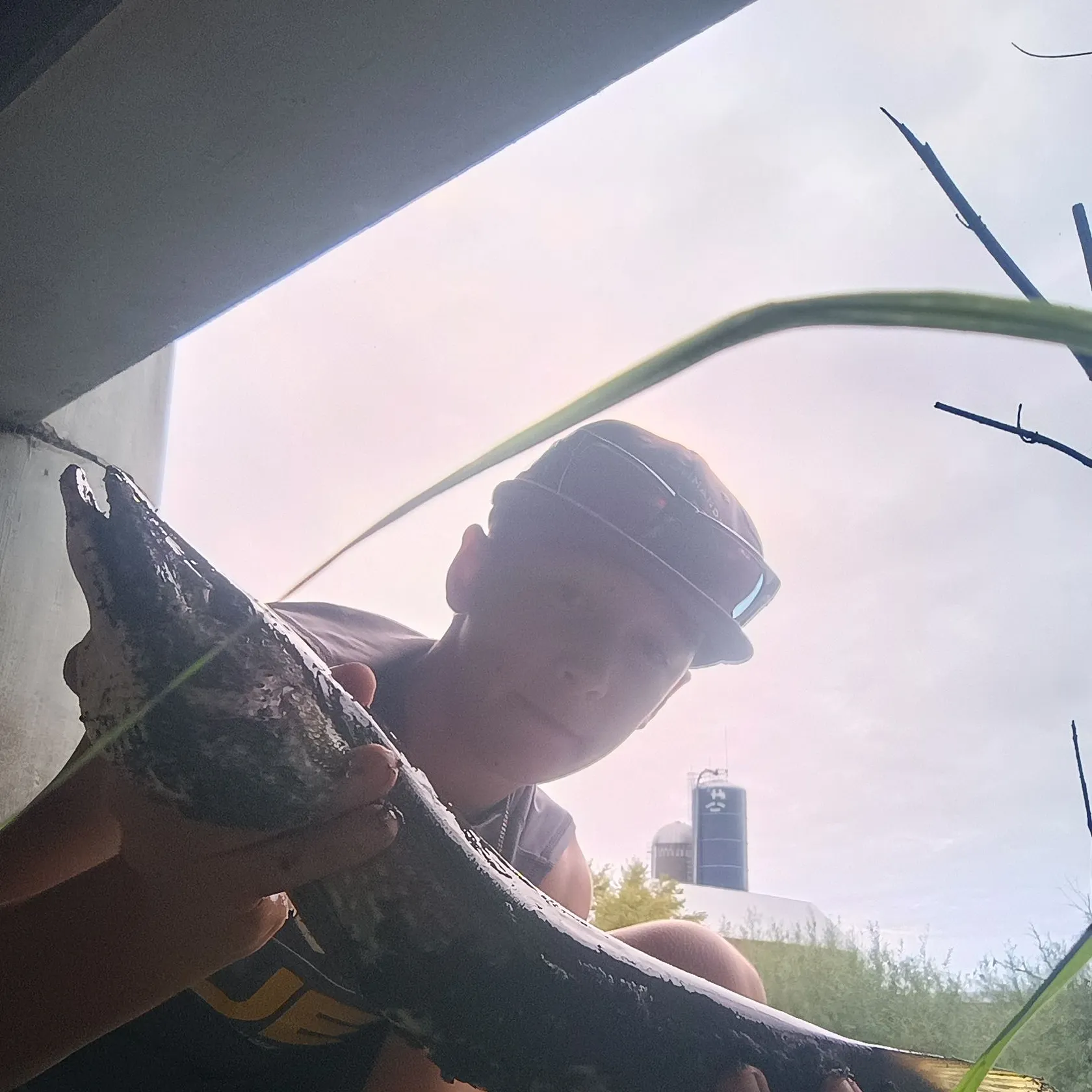 Northern pike caught on Fishbrain
