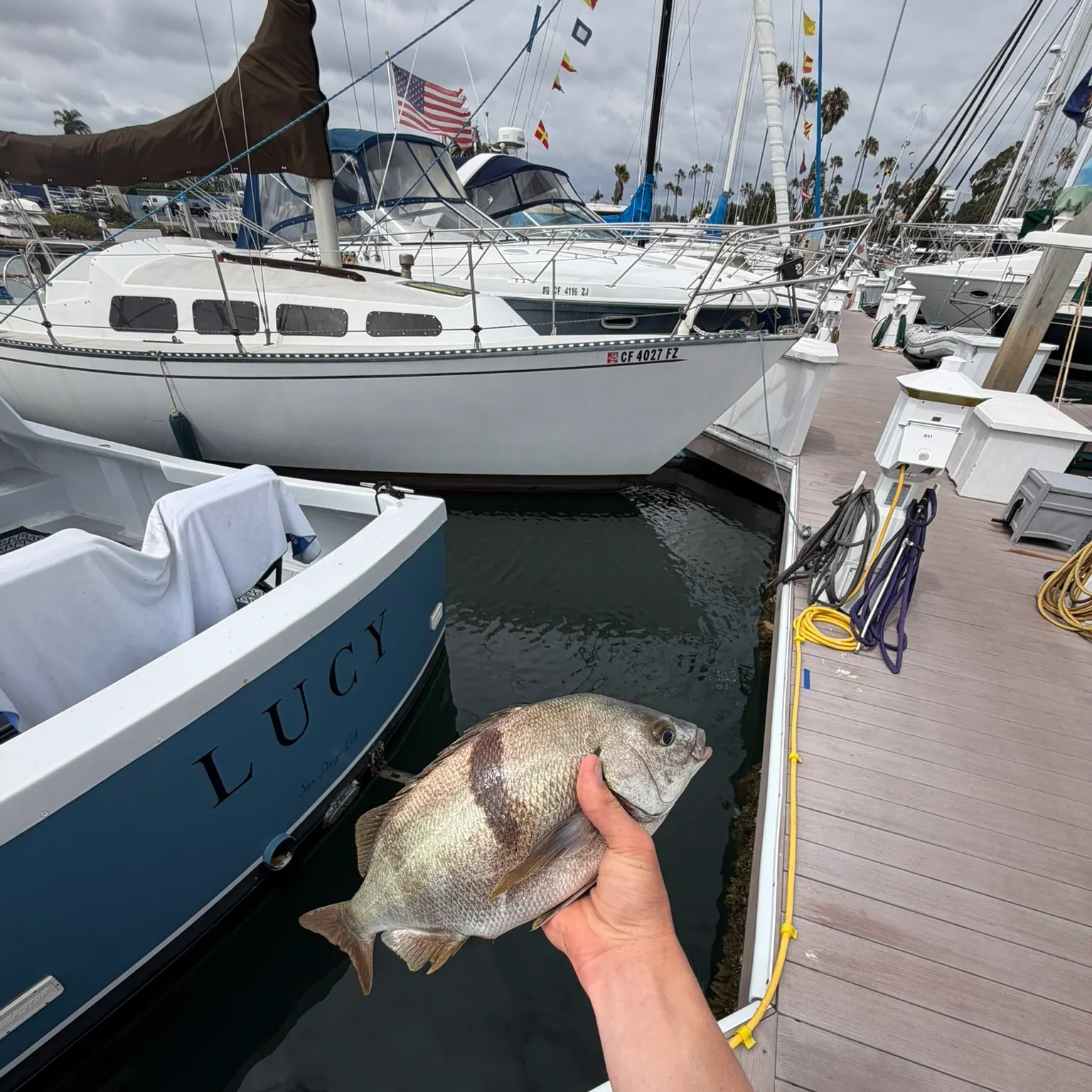 recently logged catches