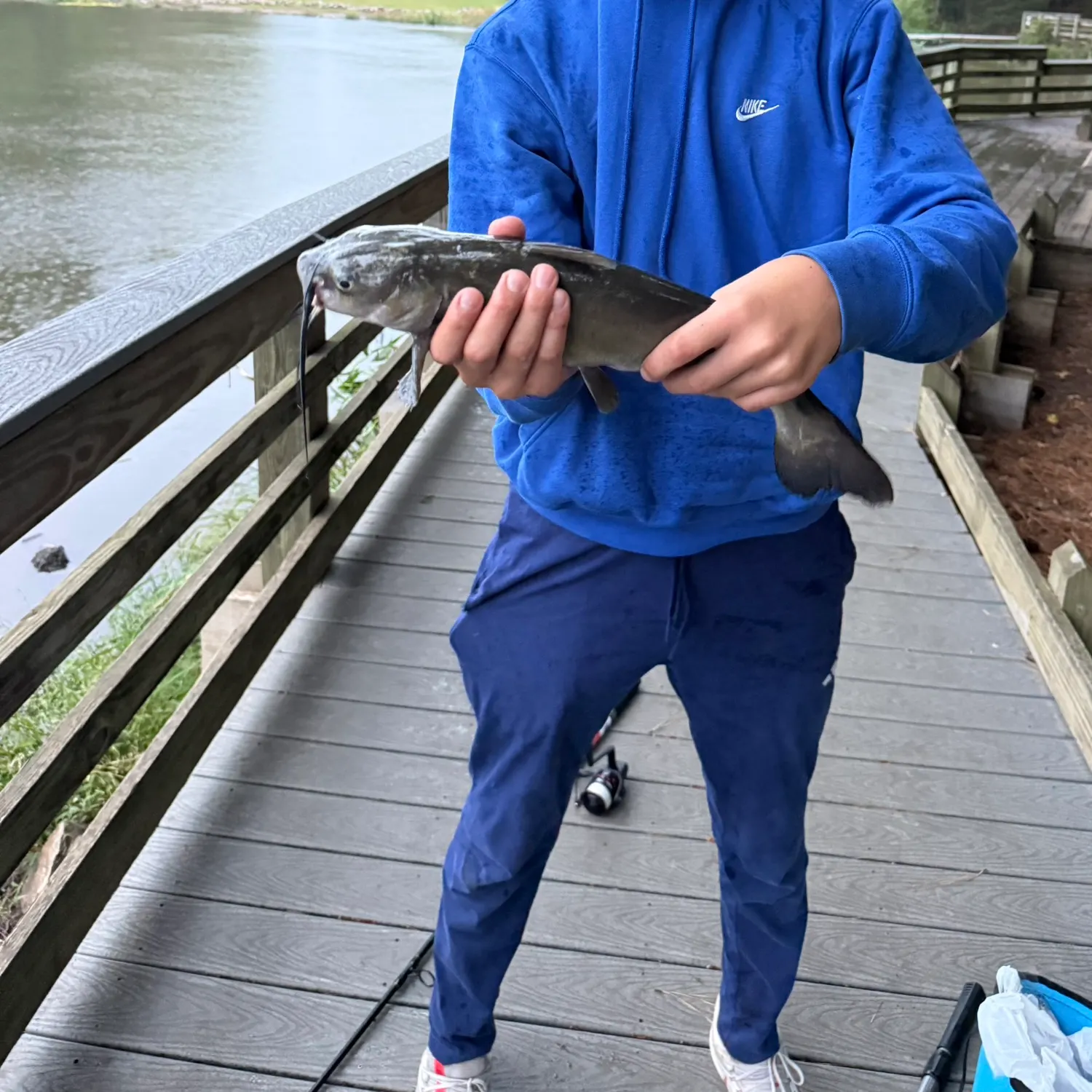 Channel catfish caught on Fishbrain