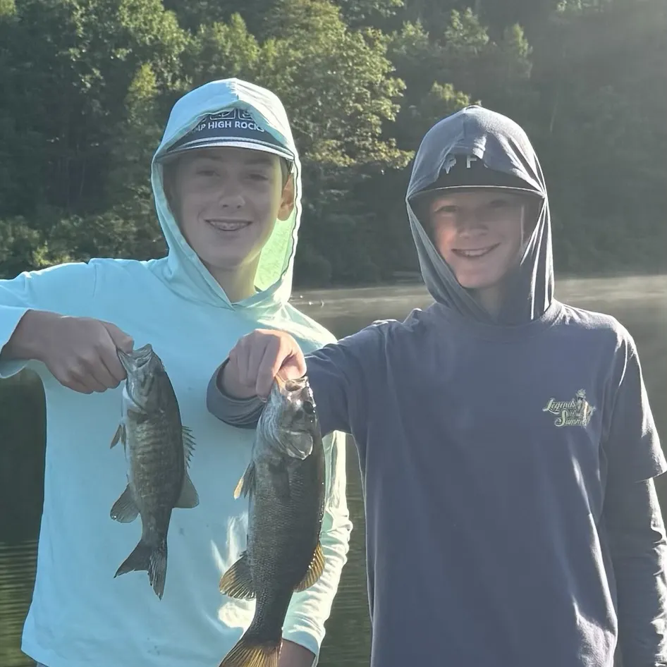 Smallmouth bass caught on Fishbrain