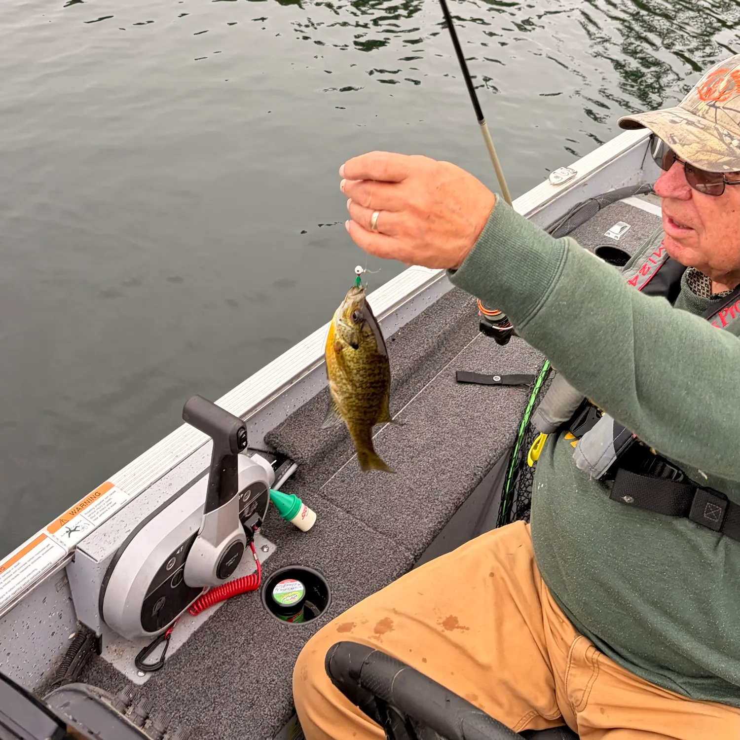 Fish caught on Fishbrain