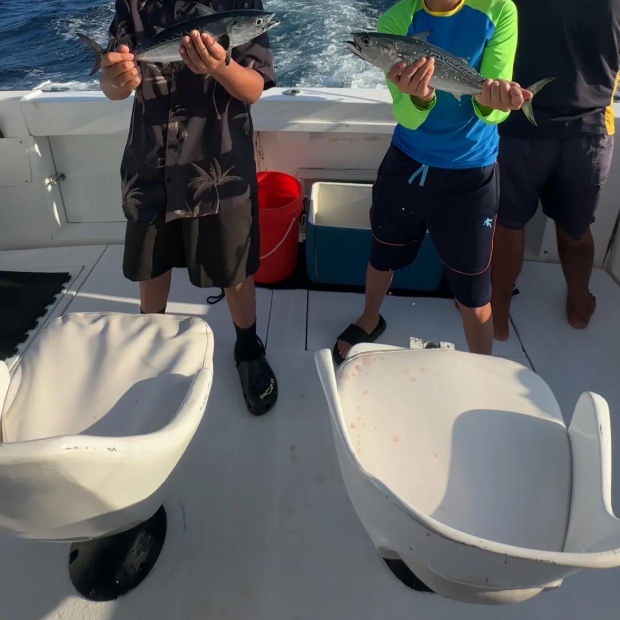 The most recent Little tunny catches on Fishbrain