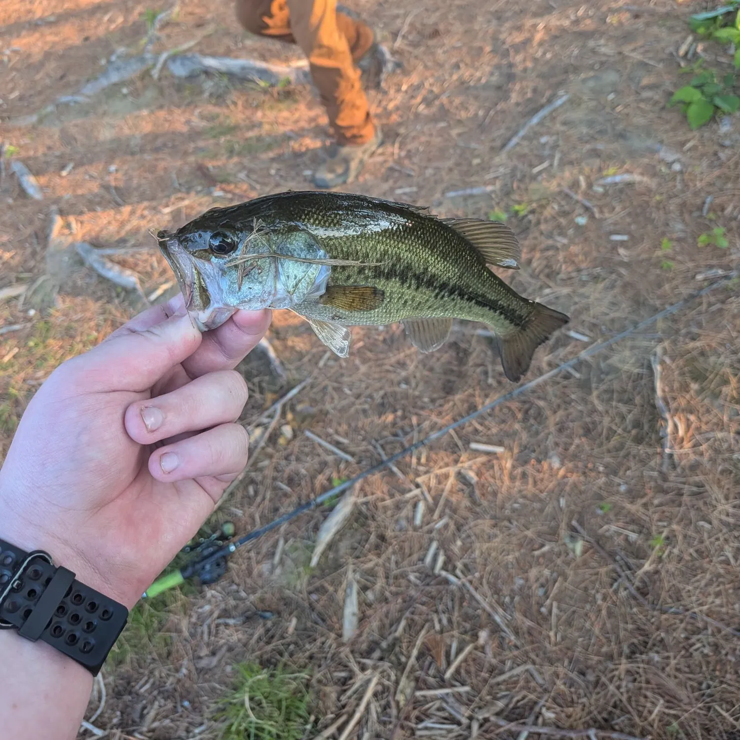 catch
