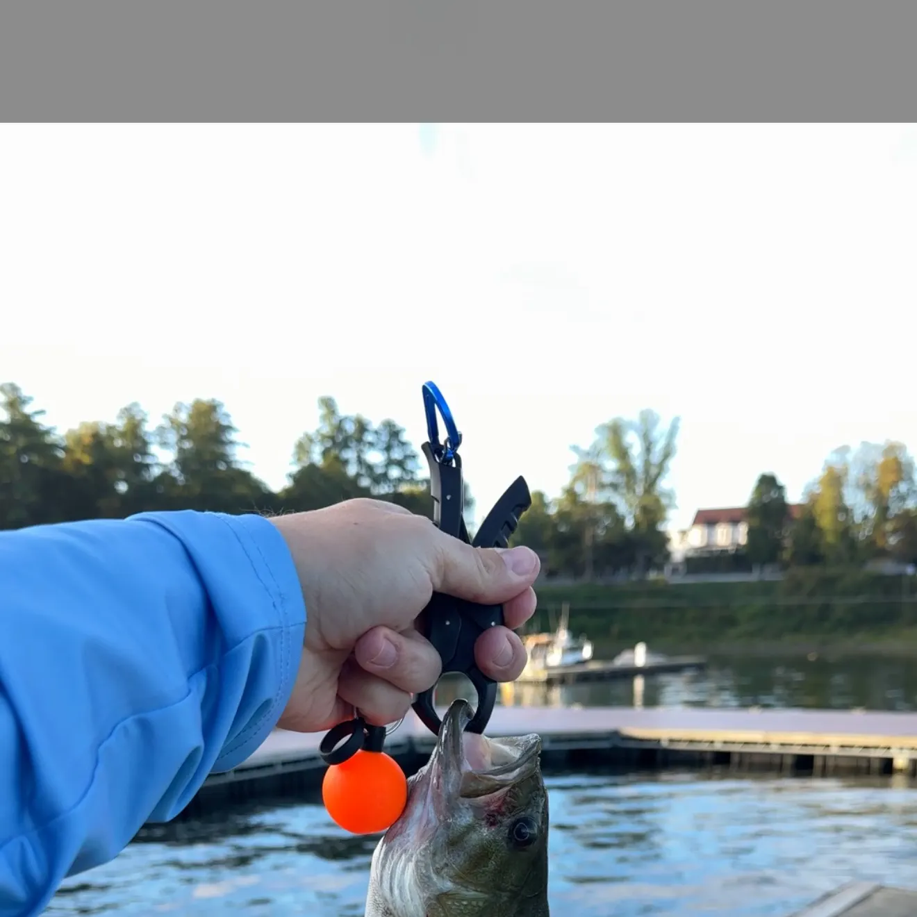 Smallmouth bass caught on Fishbrain