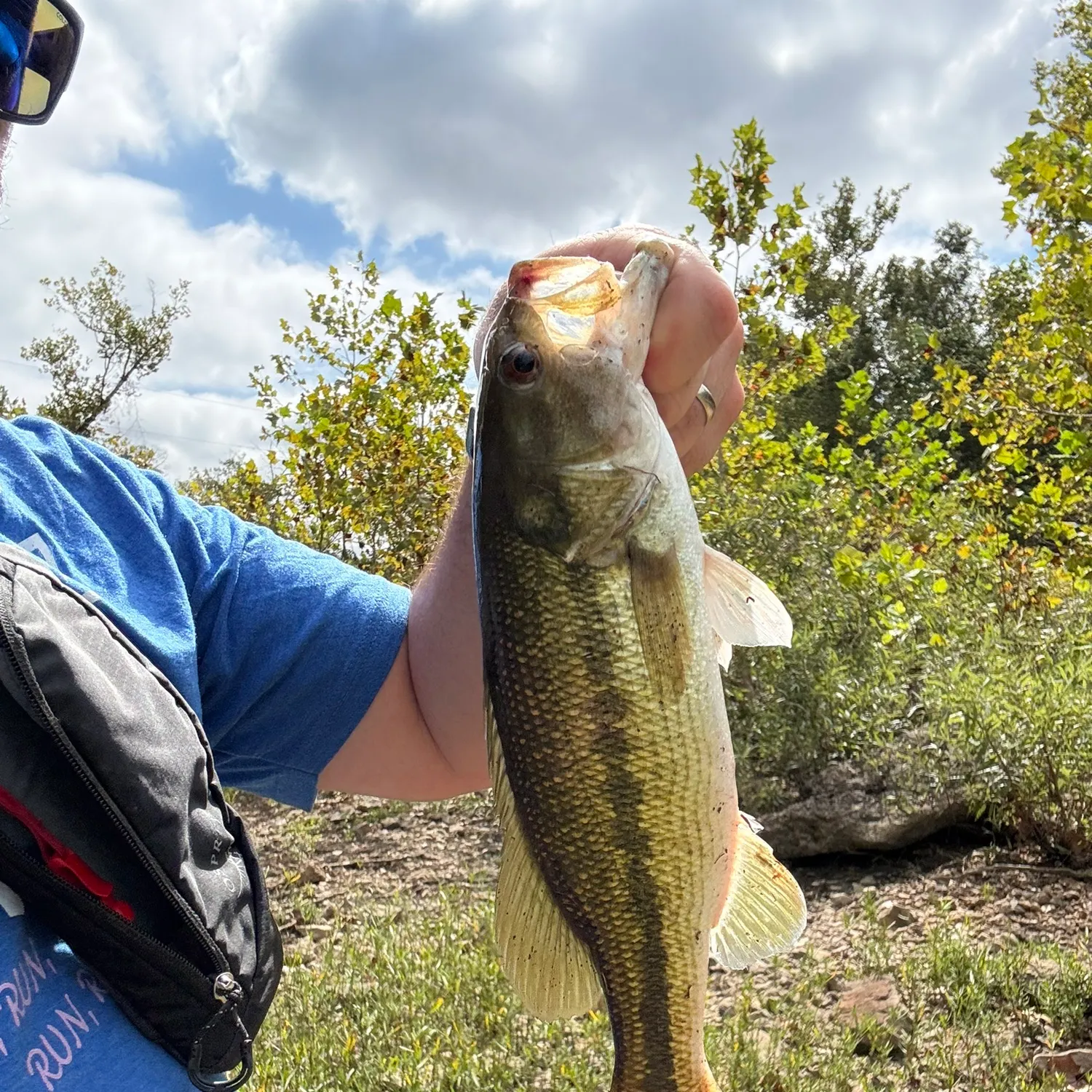Spotted bass caught on Fishbrain