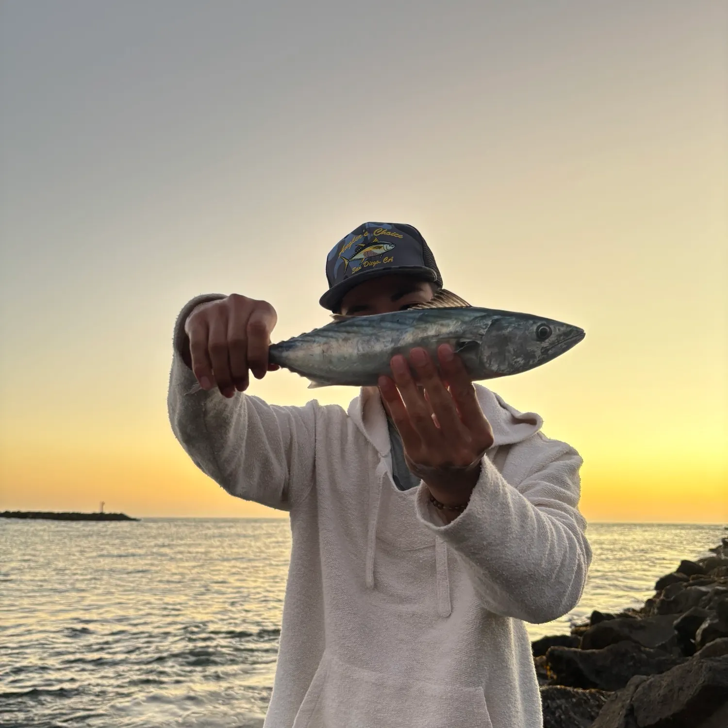The most recent Atlantic bonito catches on Fishbrain
