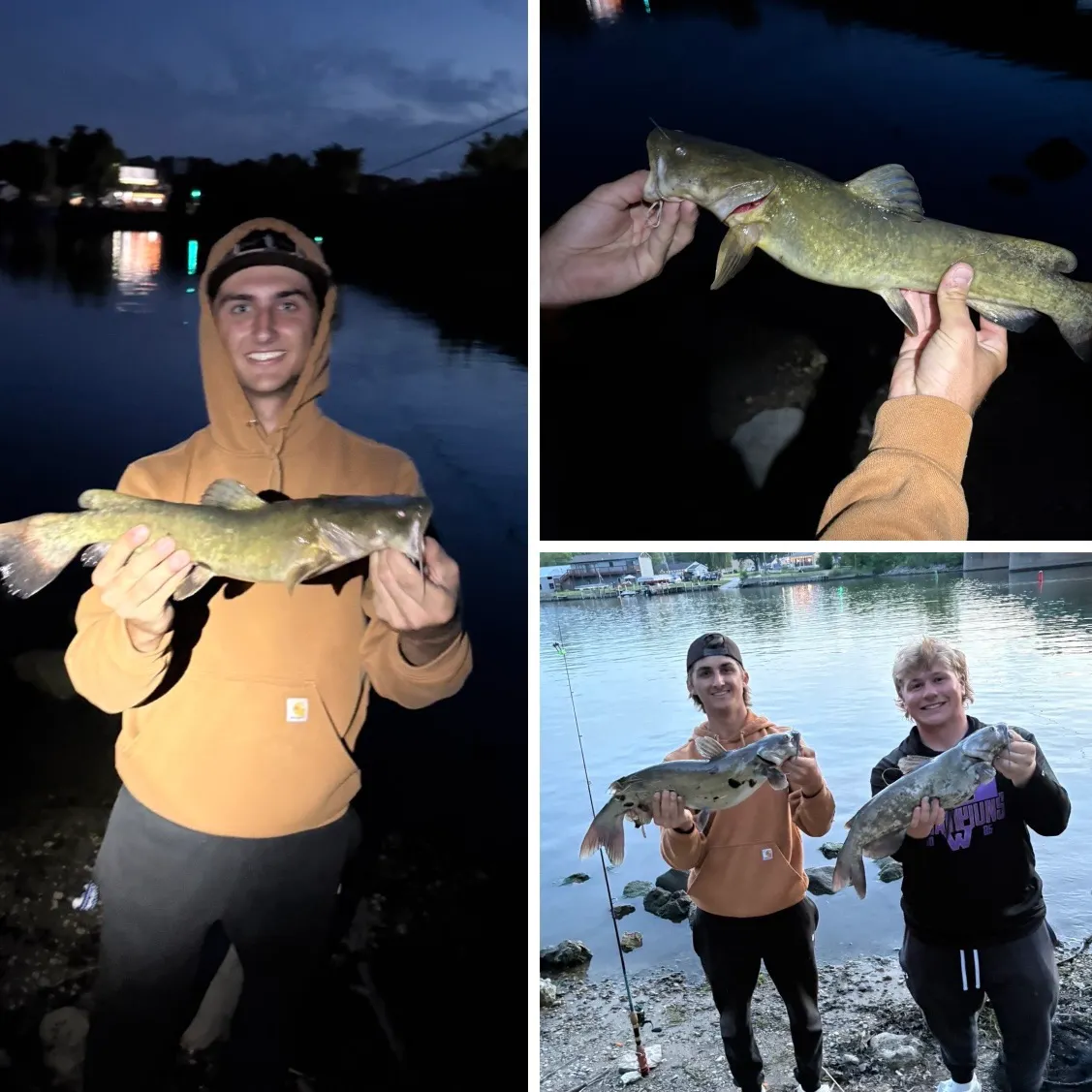 recently logged catches