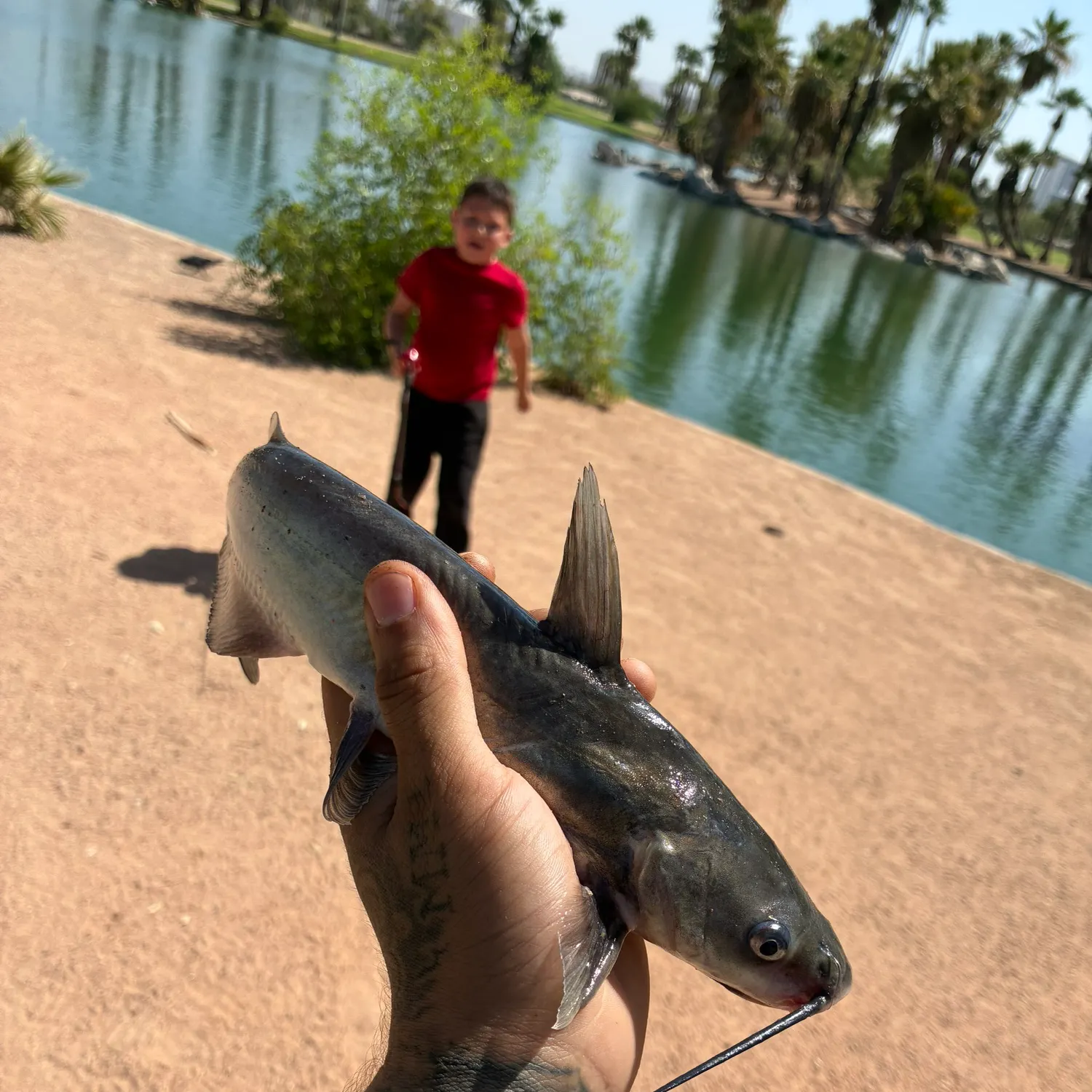 catch