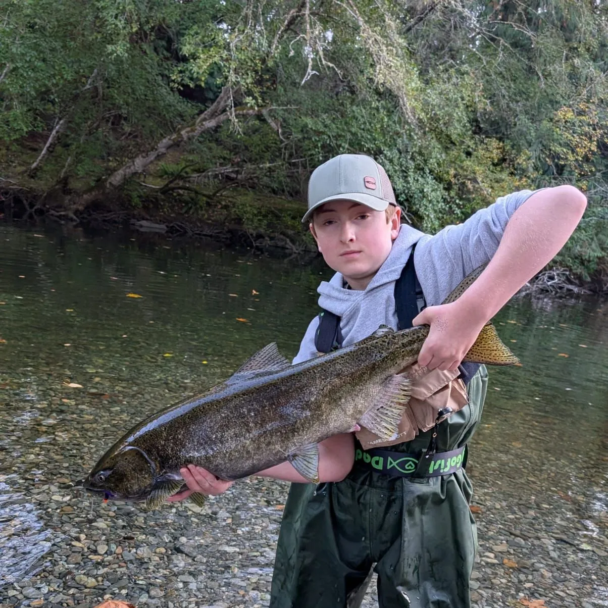 Chinook salmon caught on Fishbrain