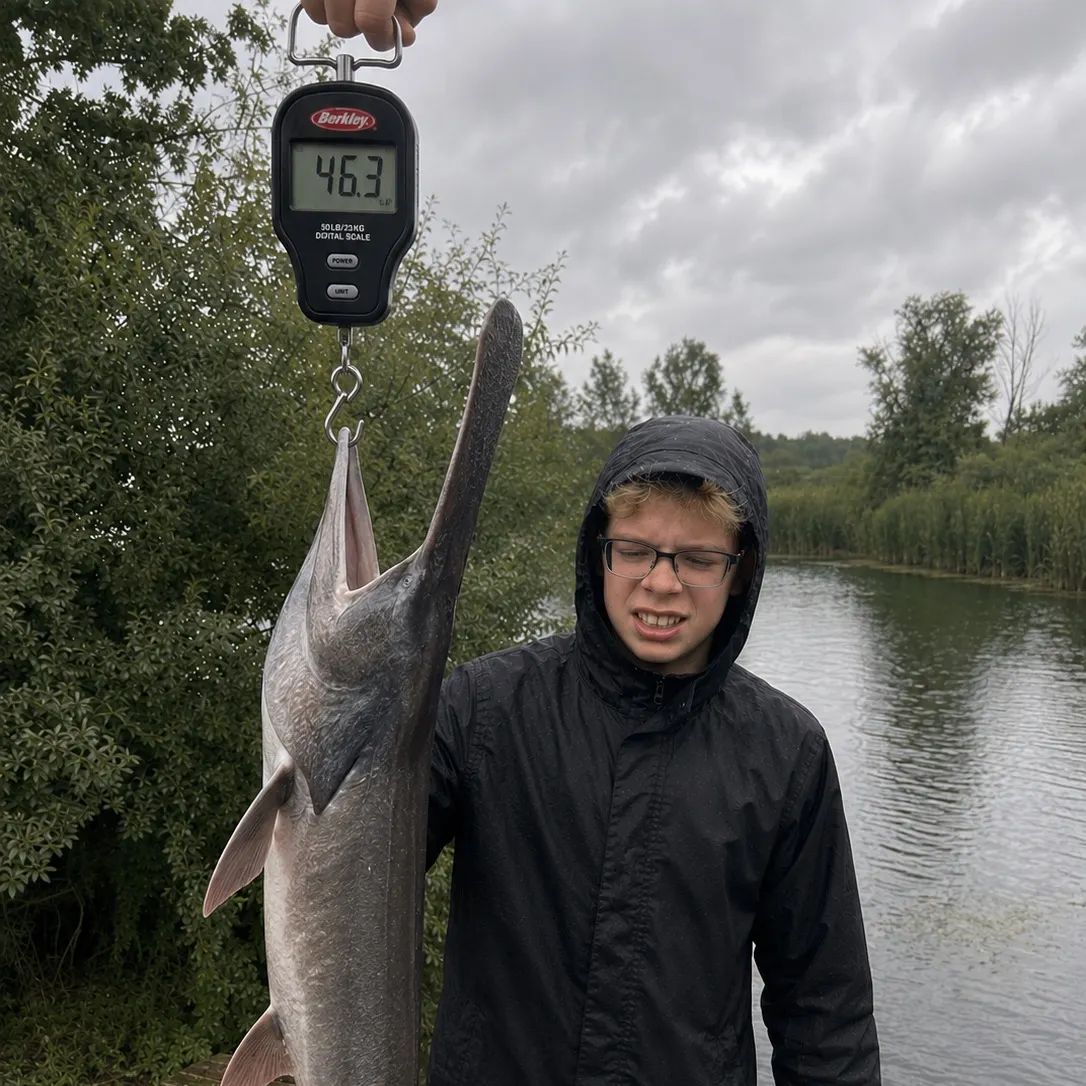 The most recent Paddlefish catches on Fishbrain