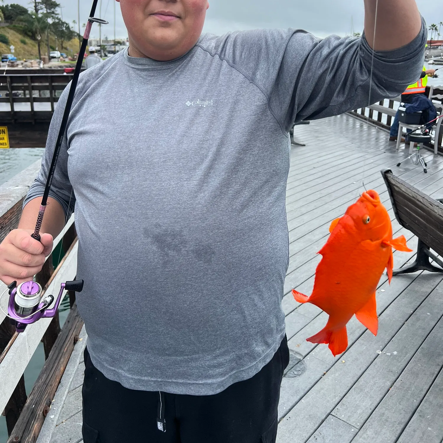 The most recent Garibaldi damselfish catches on Fishbrain