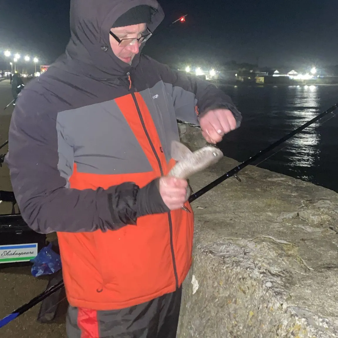 The most recent Lesser spotted dogfish catches on Fishbrain