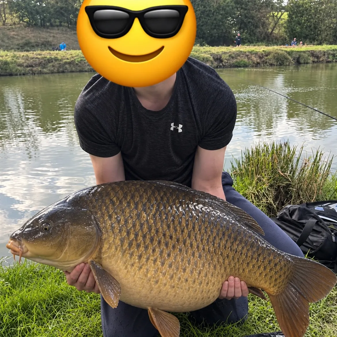Common carp caught on Fishbrain
