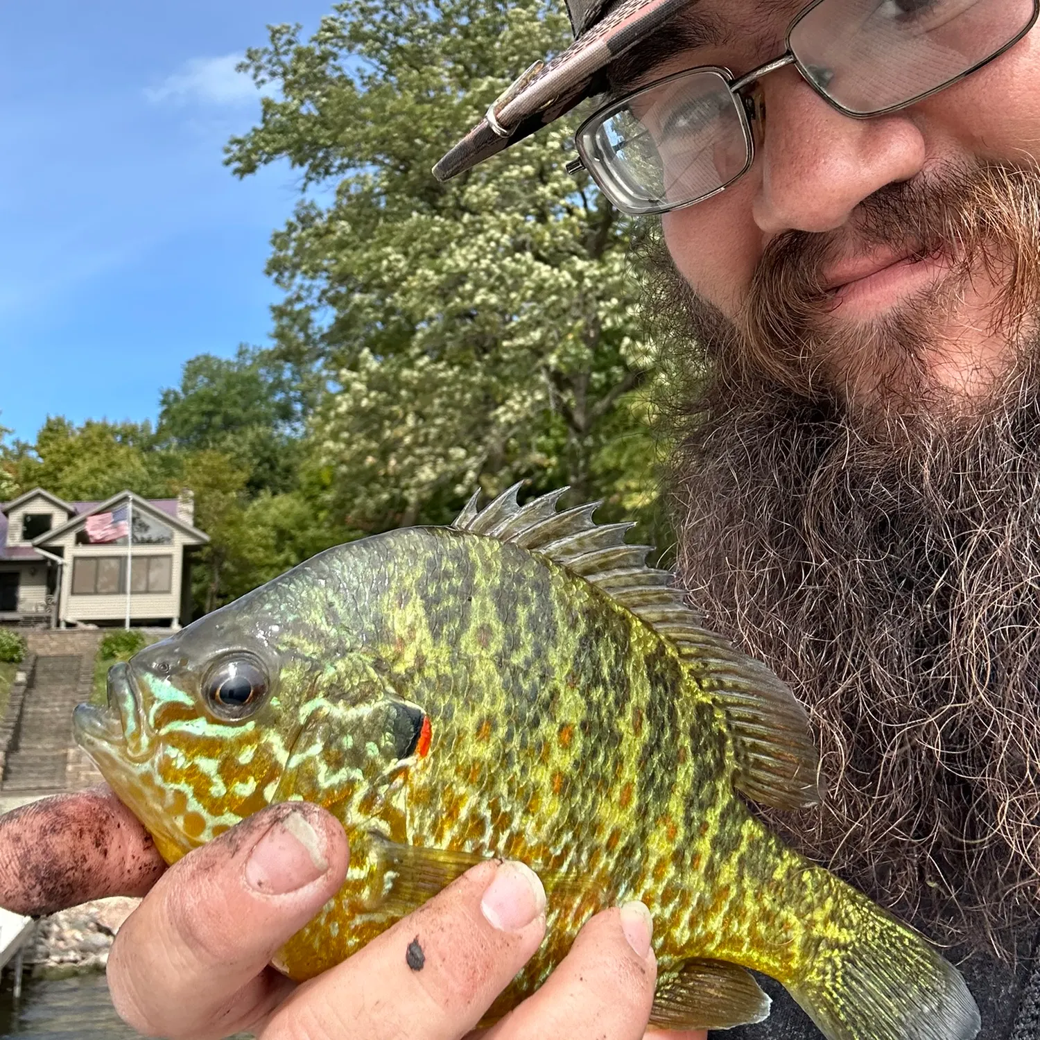 Pumpkinseed caught on Fishbrain