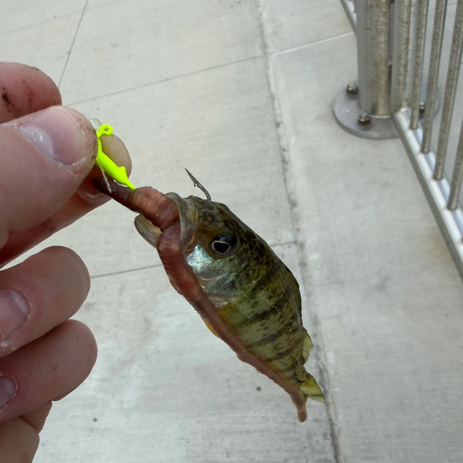 catch