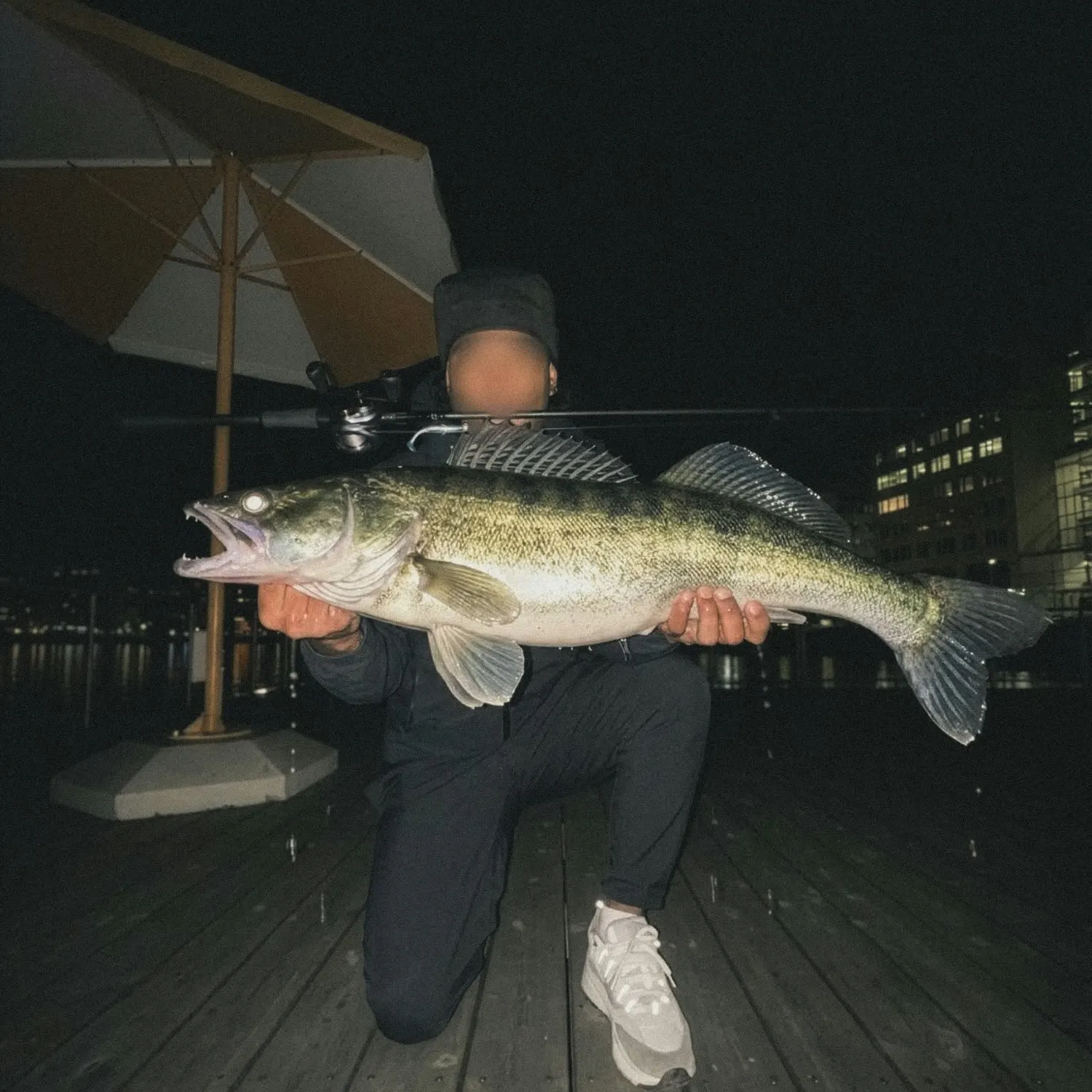 Zander caught on Fishbrain