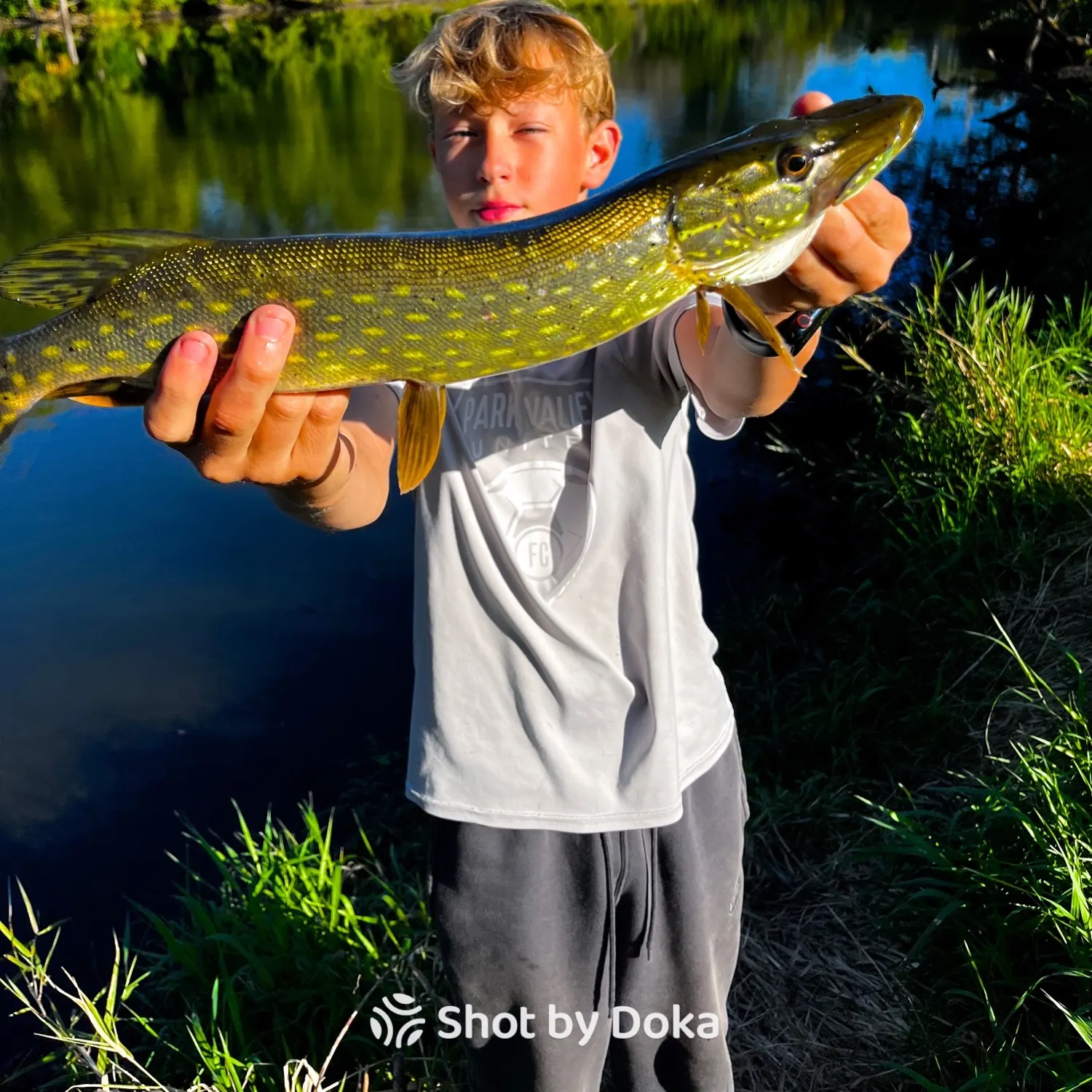 Northern pike caught on Fishbrain