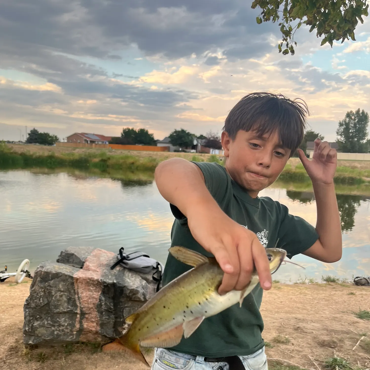 catch