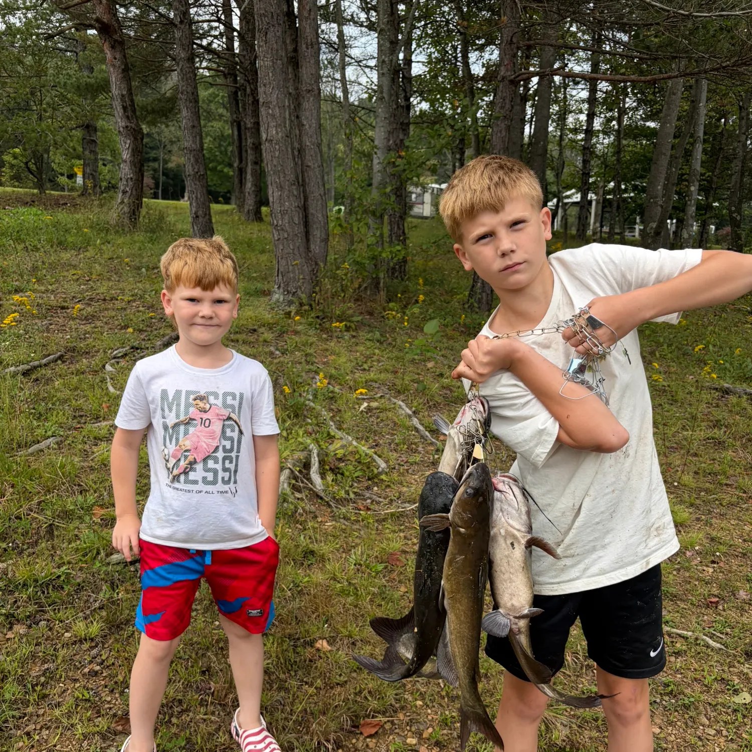 Channel catfish caught on Fishbrain