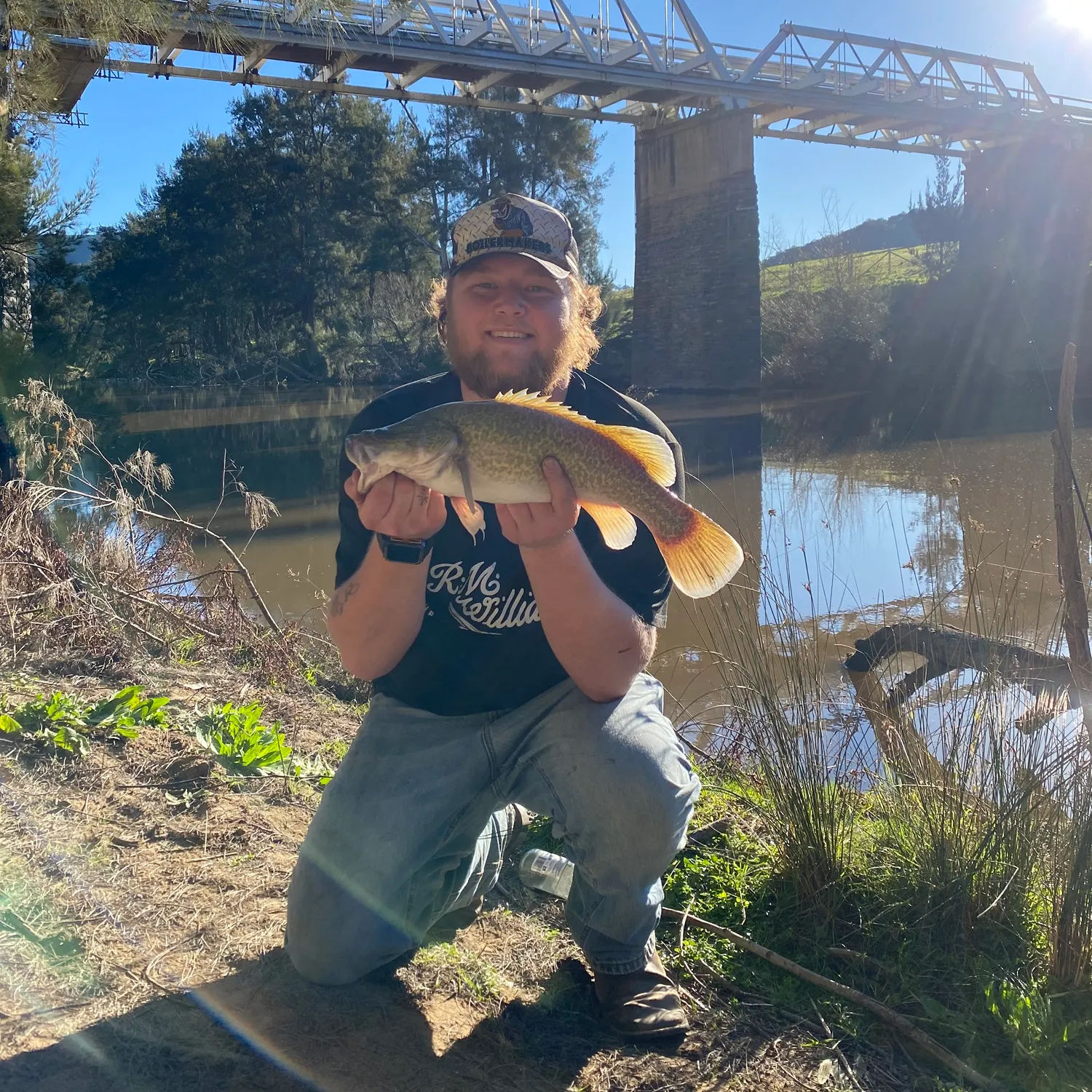 Murray cod caught on Fishbrain