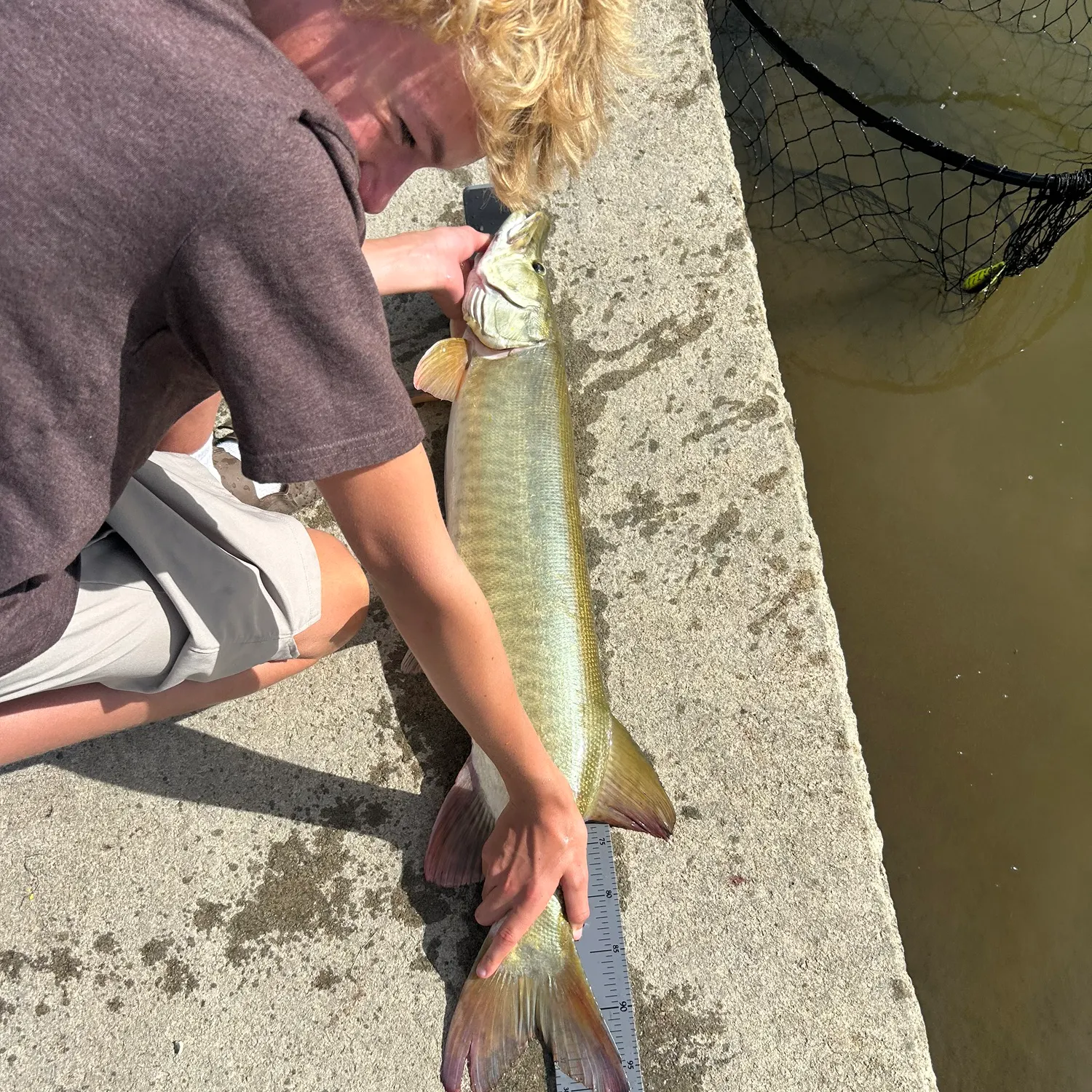 Muskie caught on Fishbrain