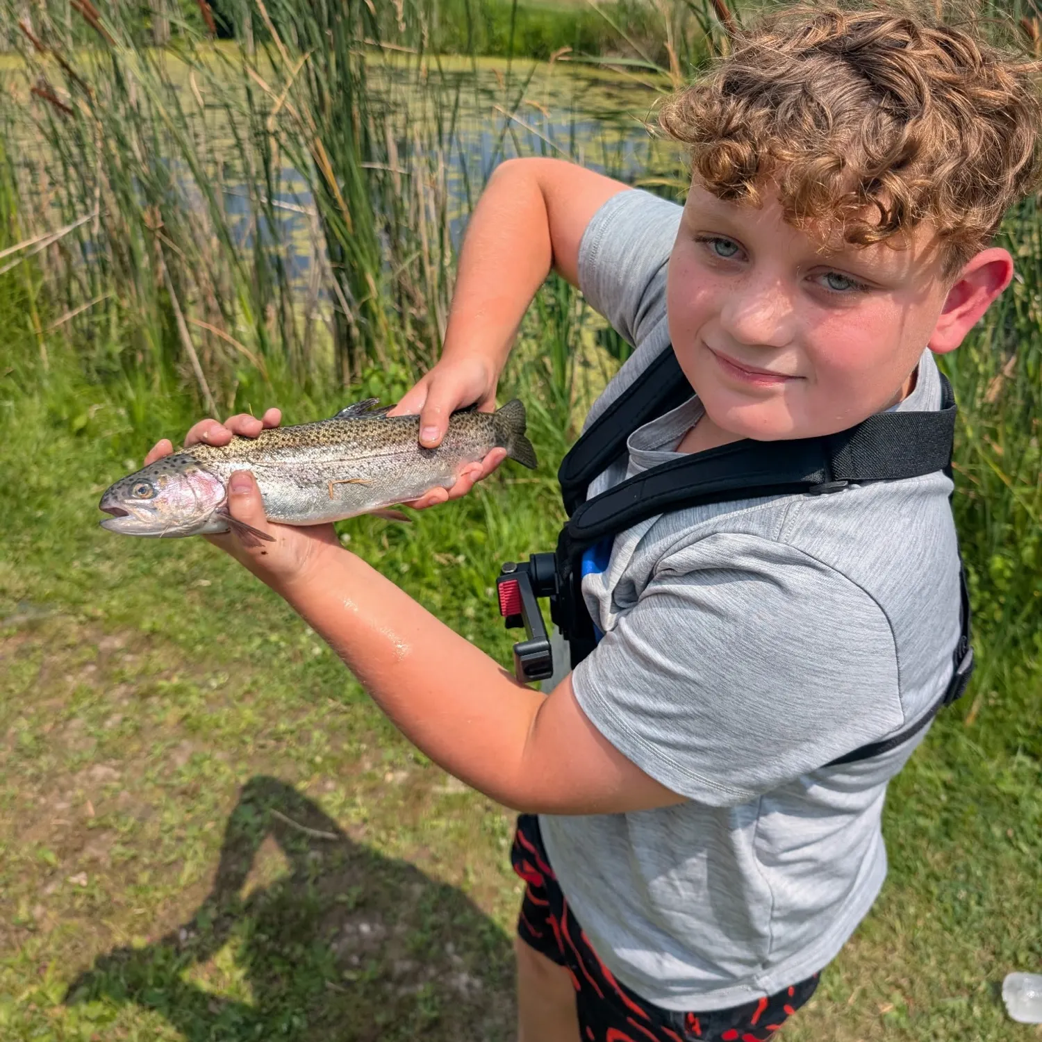 Rainbow trout caught on Fishbrain