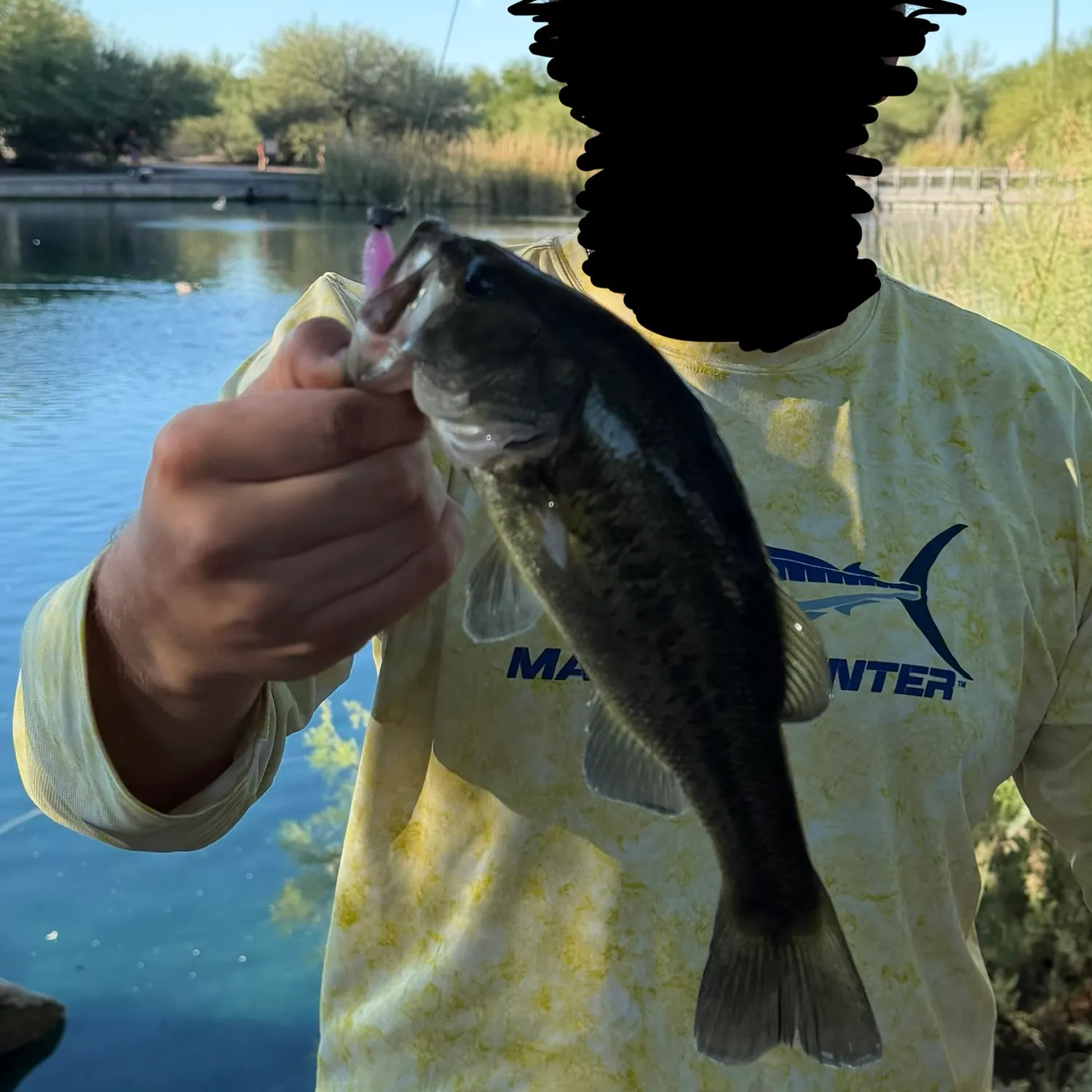 Largemouth bass caught on Fishbrain