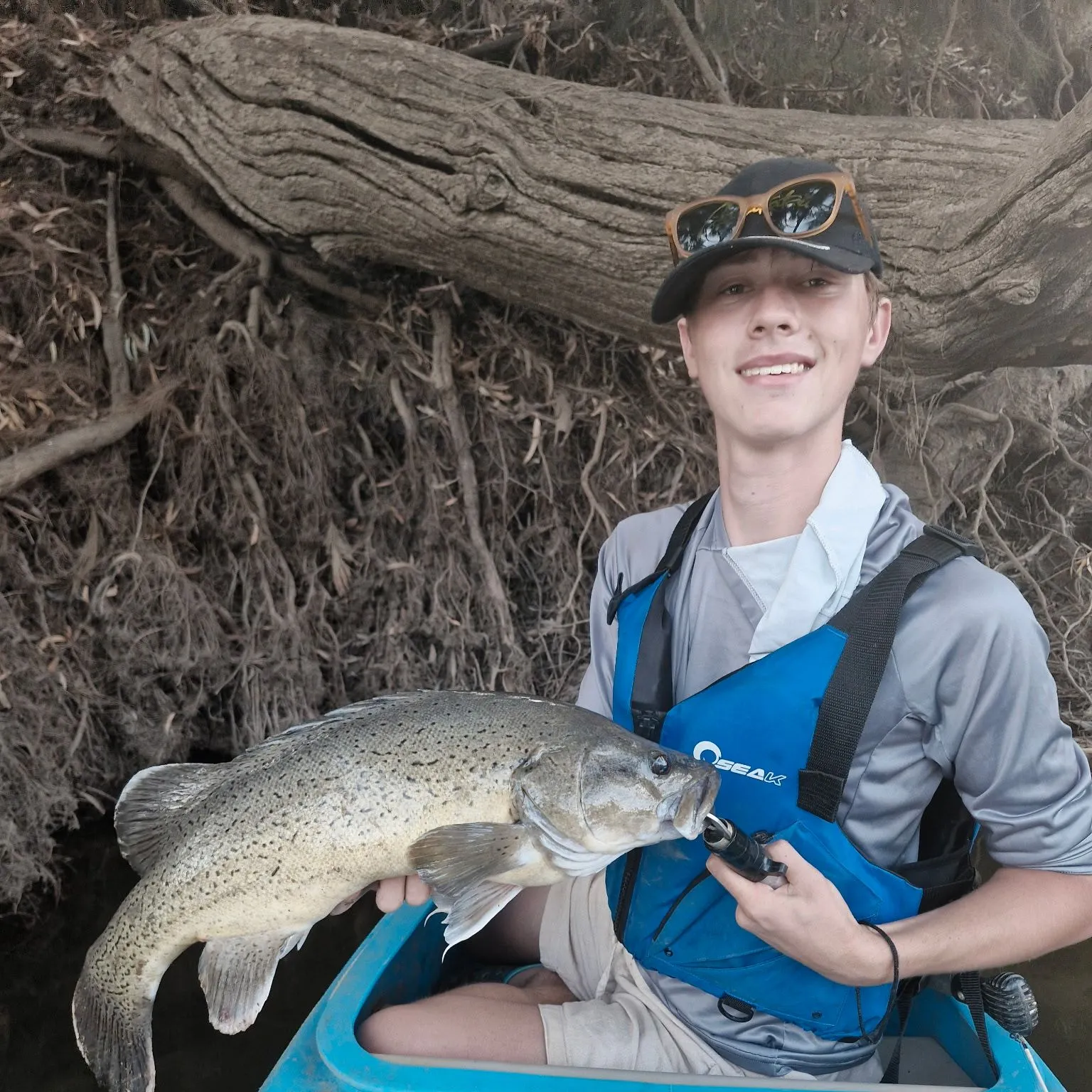 The most recent Trout cod catches on Fishbrain