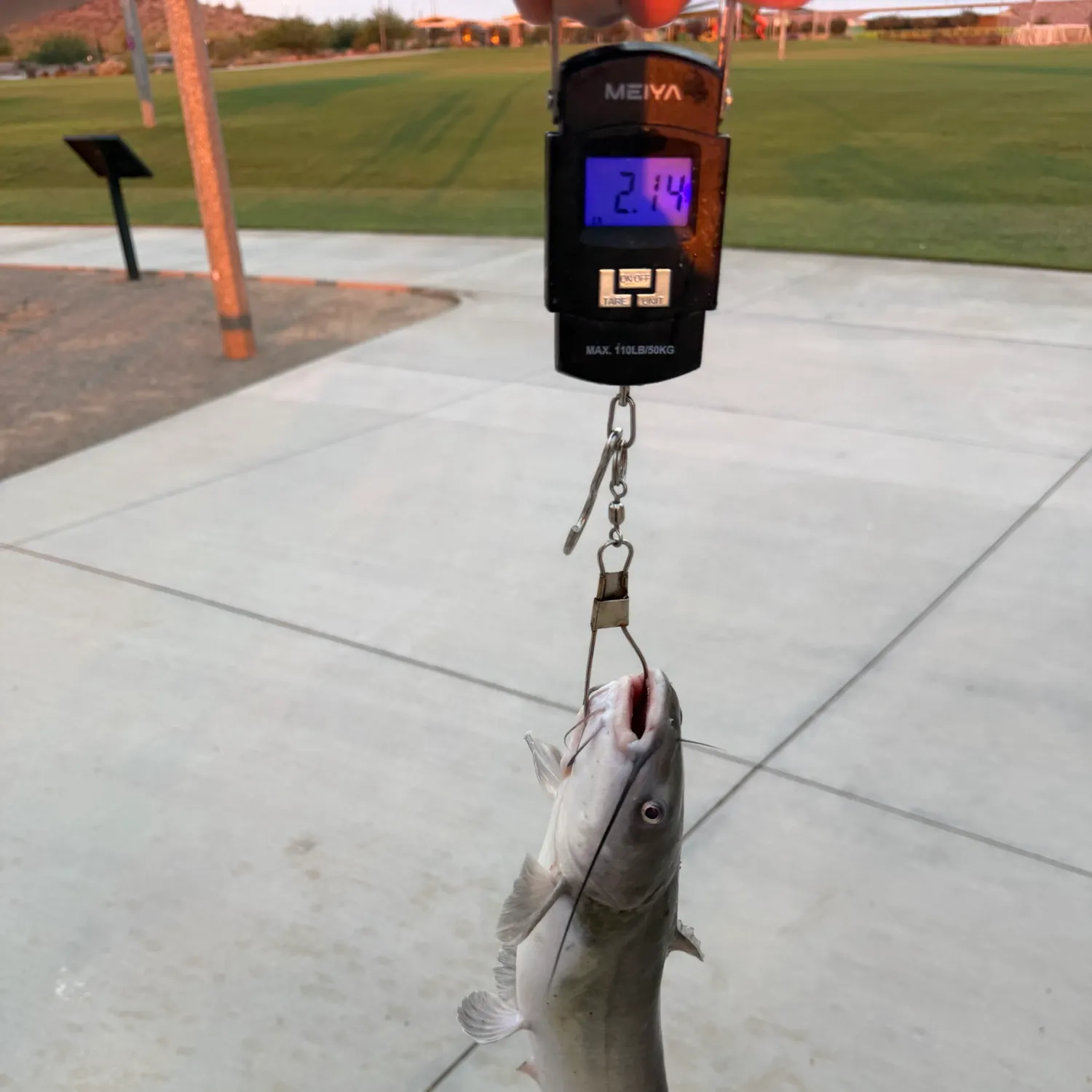 catch